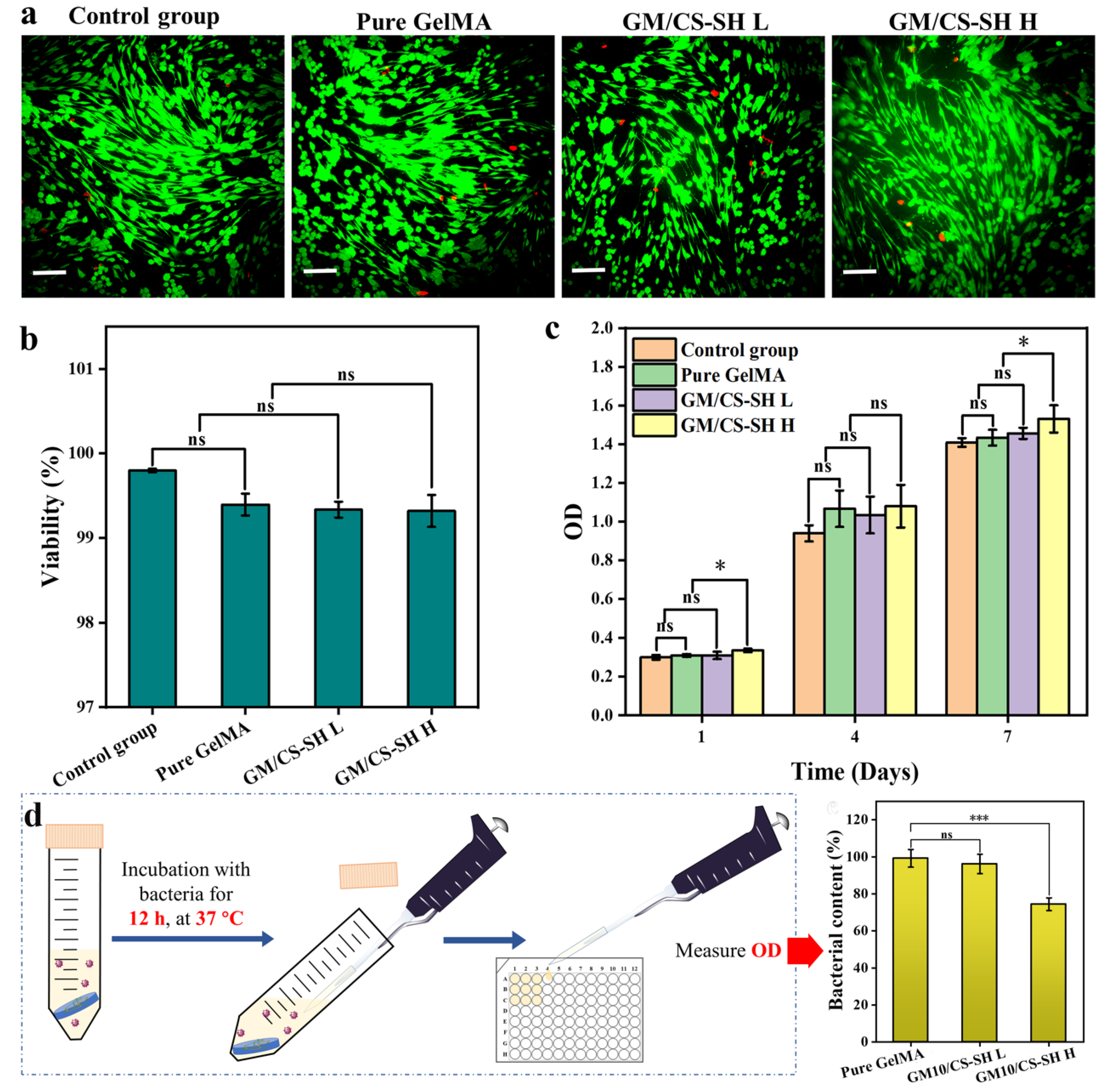 Ijms 24 02447 g004 Ijms 24 02447 g004