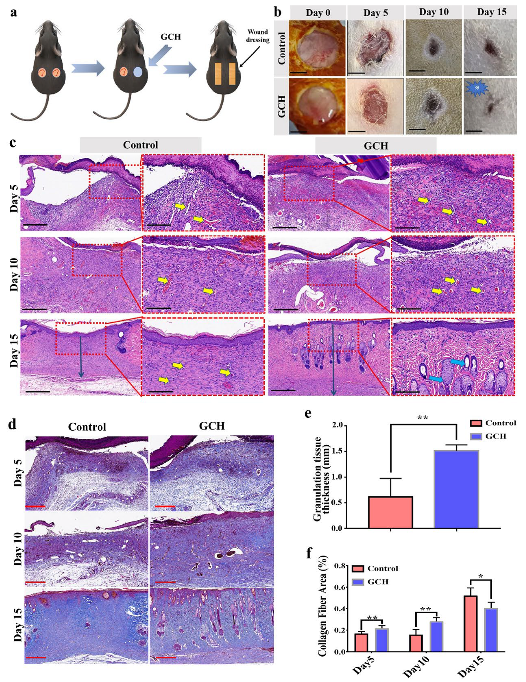 Ijms 24 02447 g005 Ijms 24 02447 g005