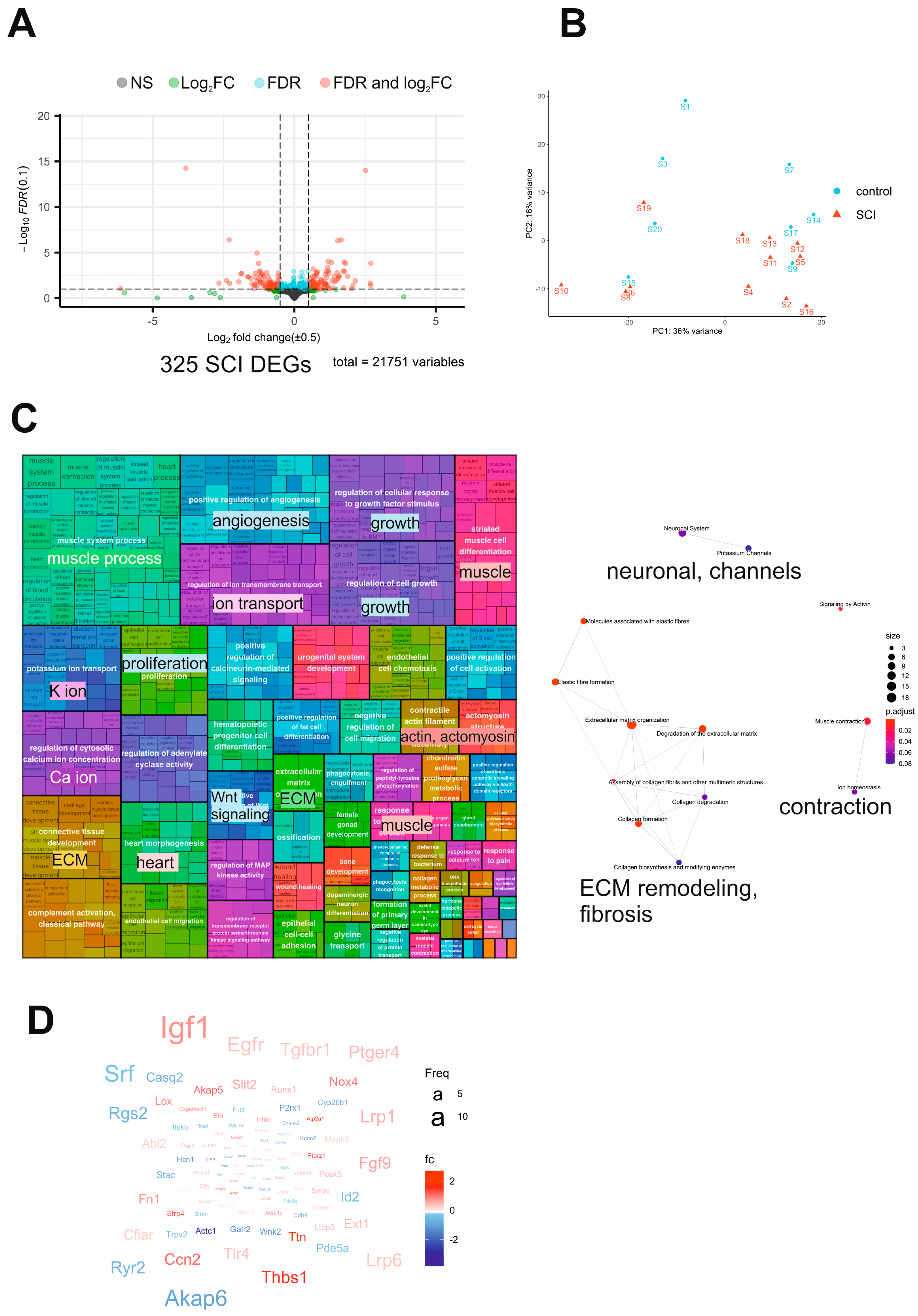 Ijms 24 02451 g003 Ijms 24 02451 g003