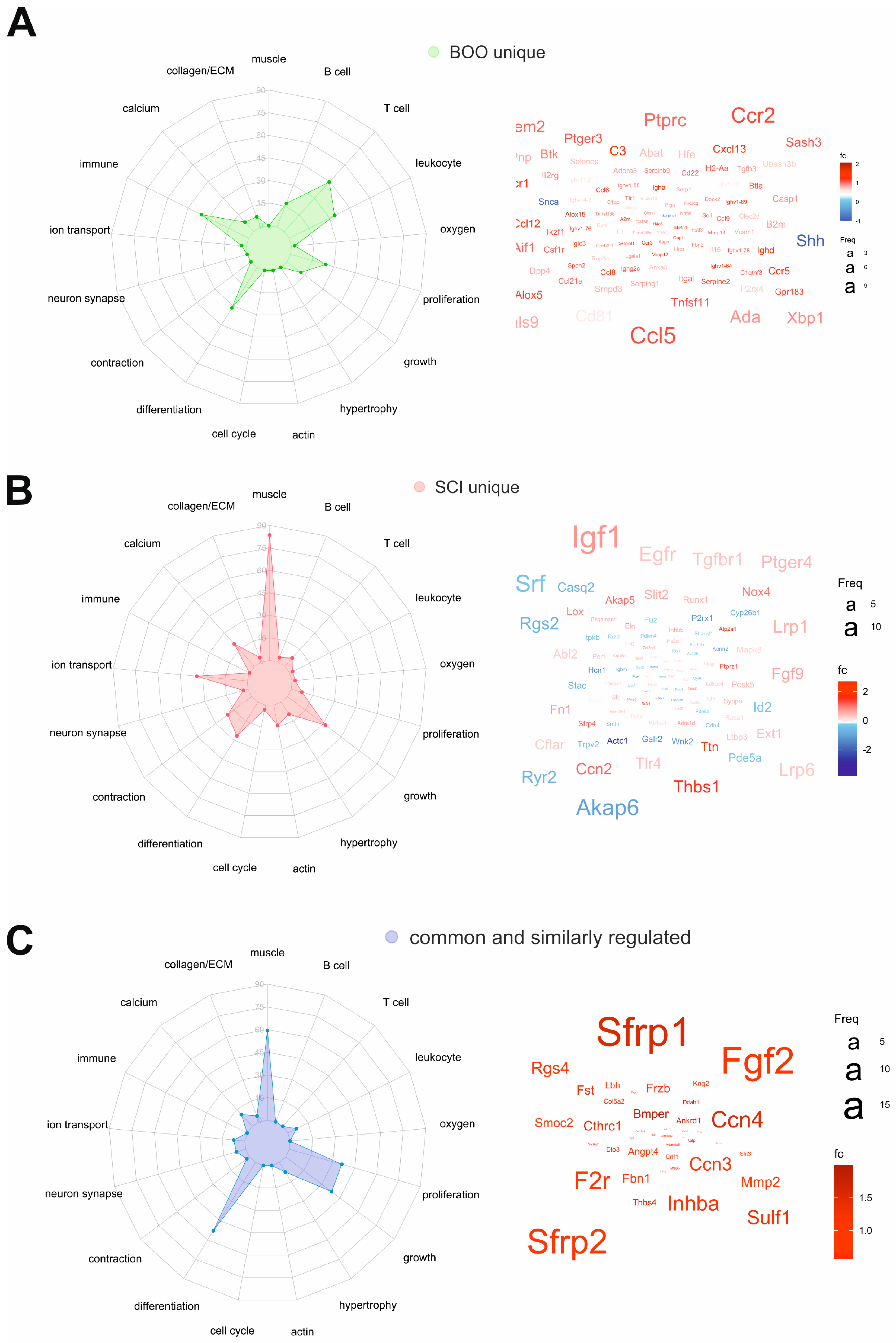 Ijms 24 02451 g007 Ijms 24 02451 g007