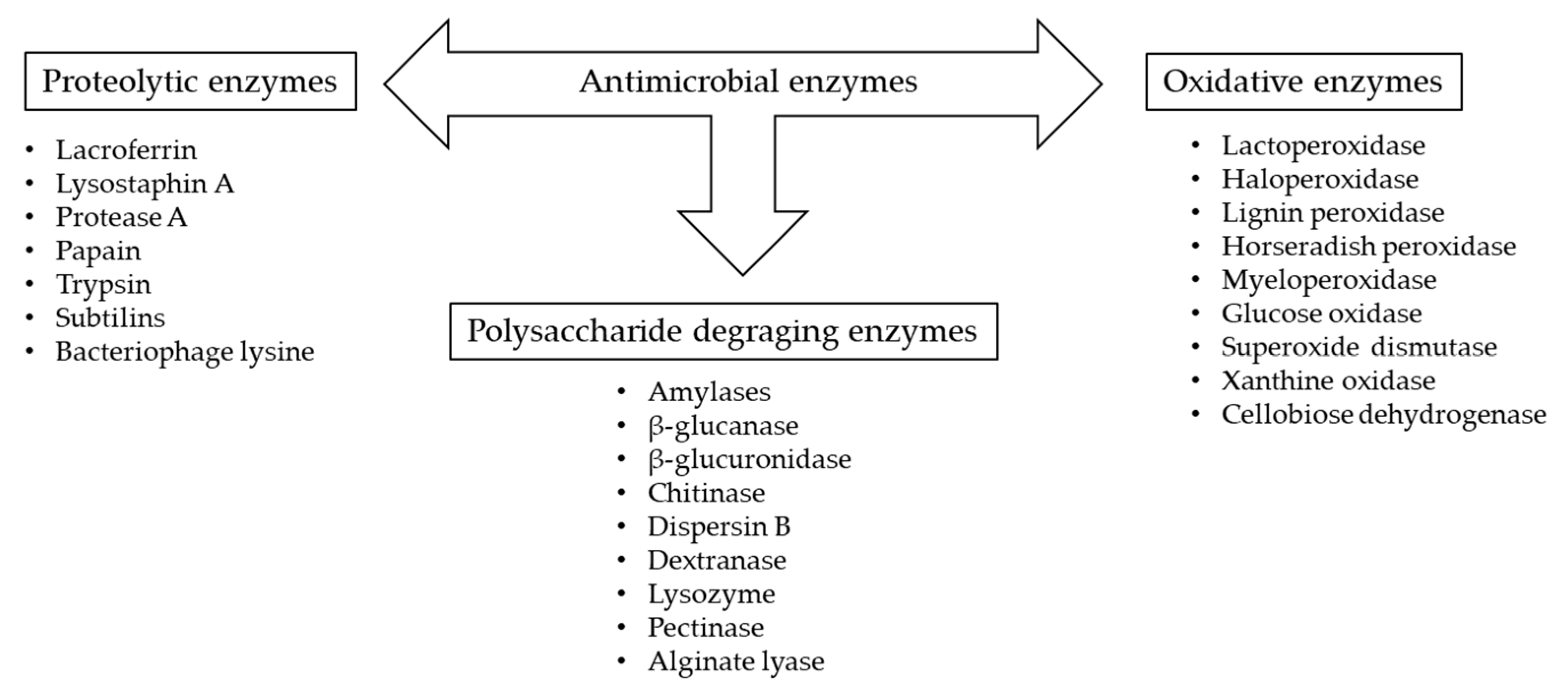 Ijms 24 02457 g002 Ijms 24 02457 g002