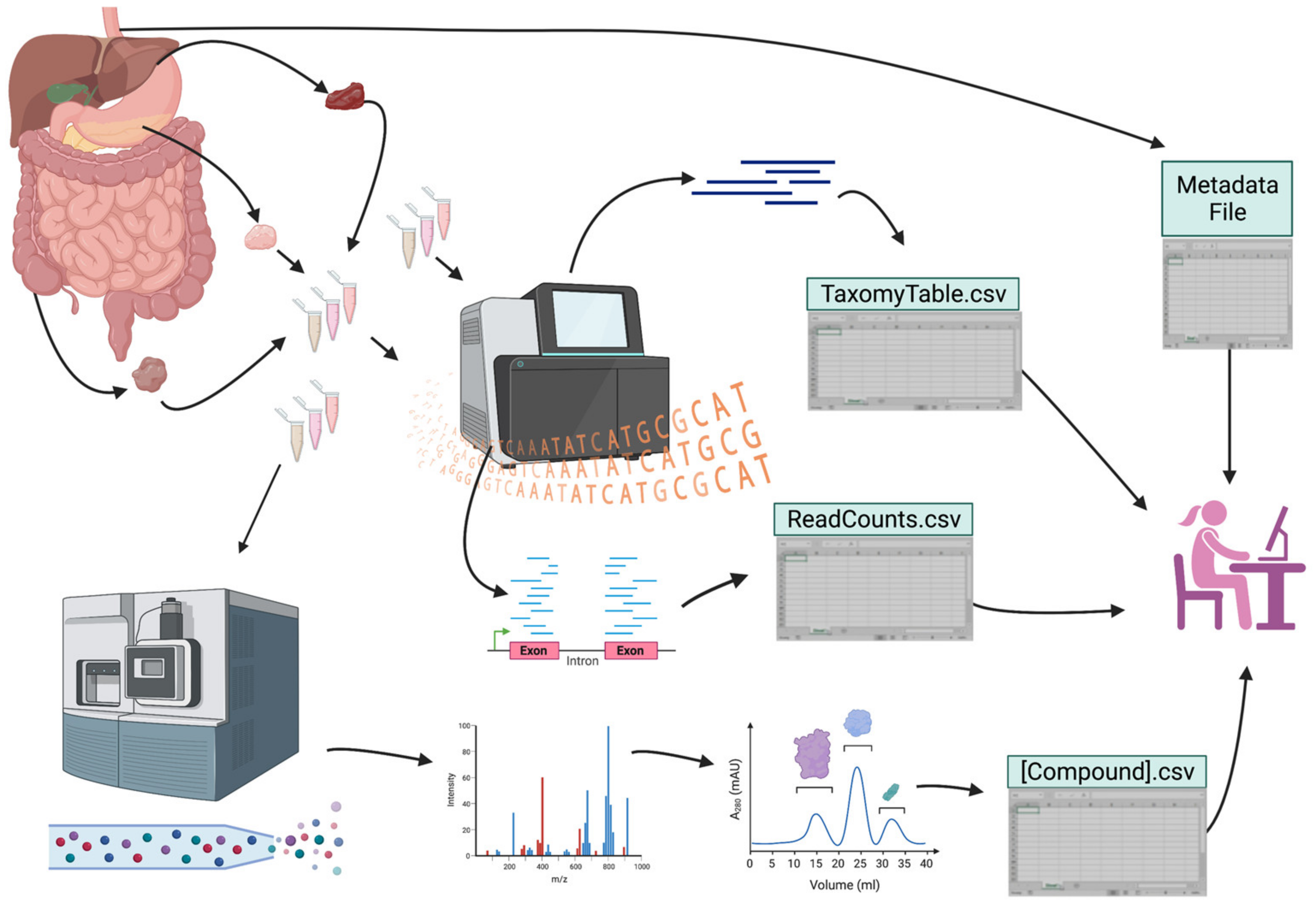 Ijms 24 02458 g001 Ijms 24 02458 g001