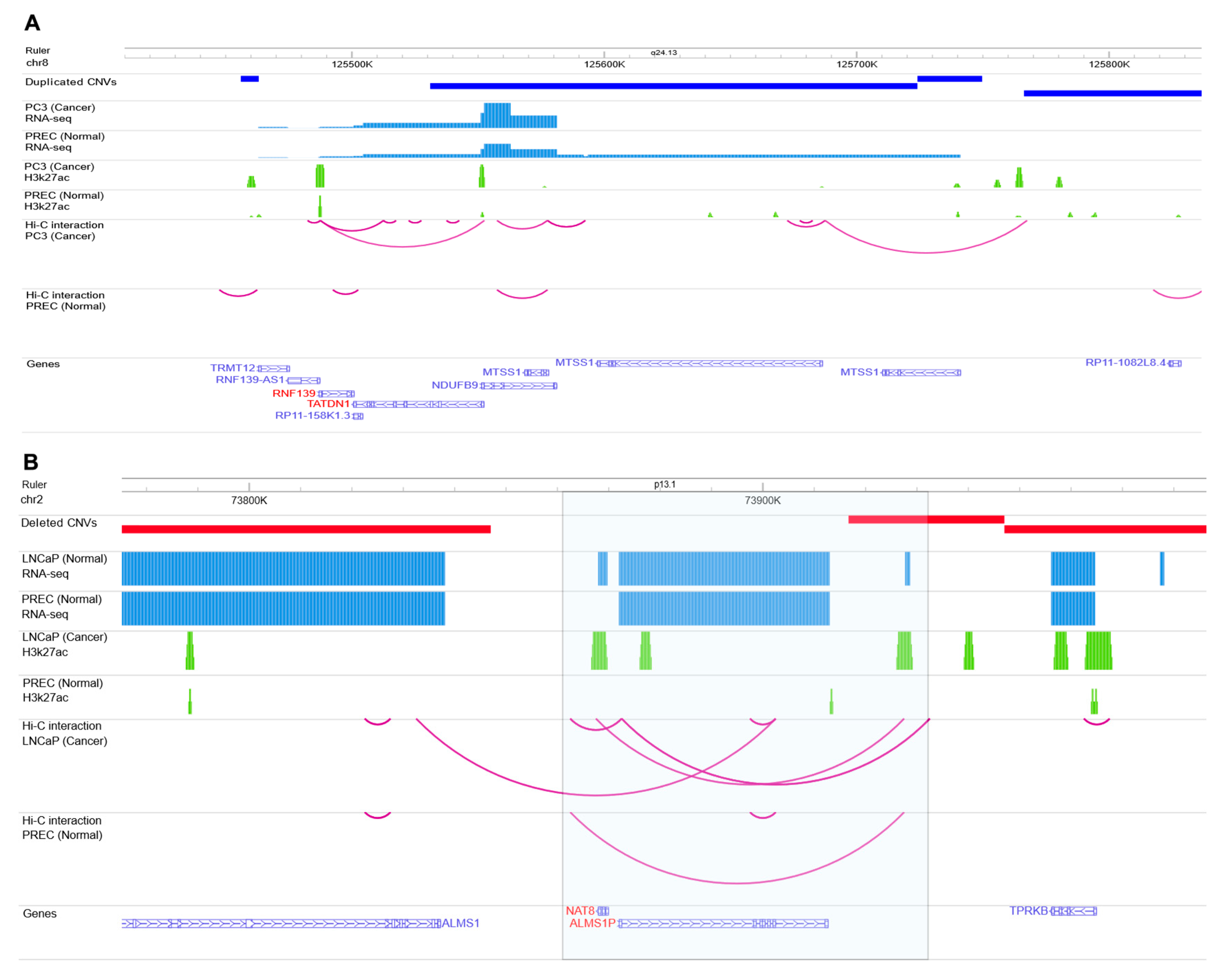Ijms 24 02472 g007 Ijms 24 02472 g007