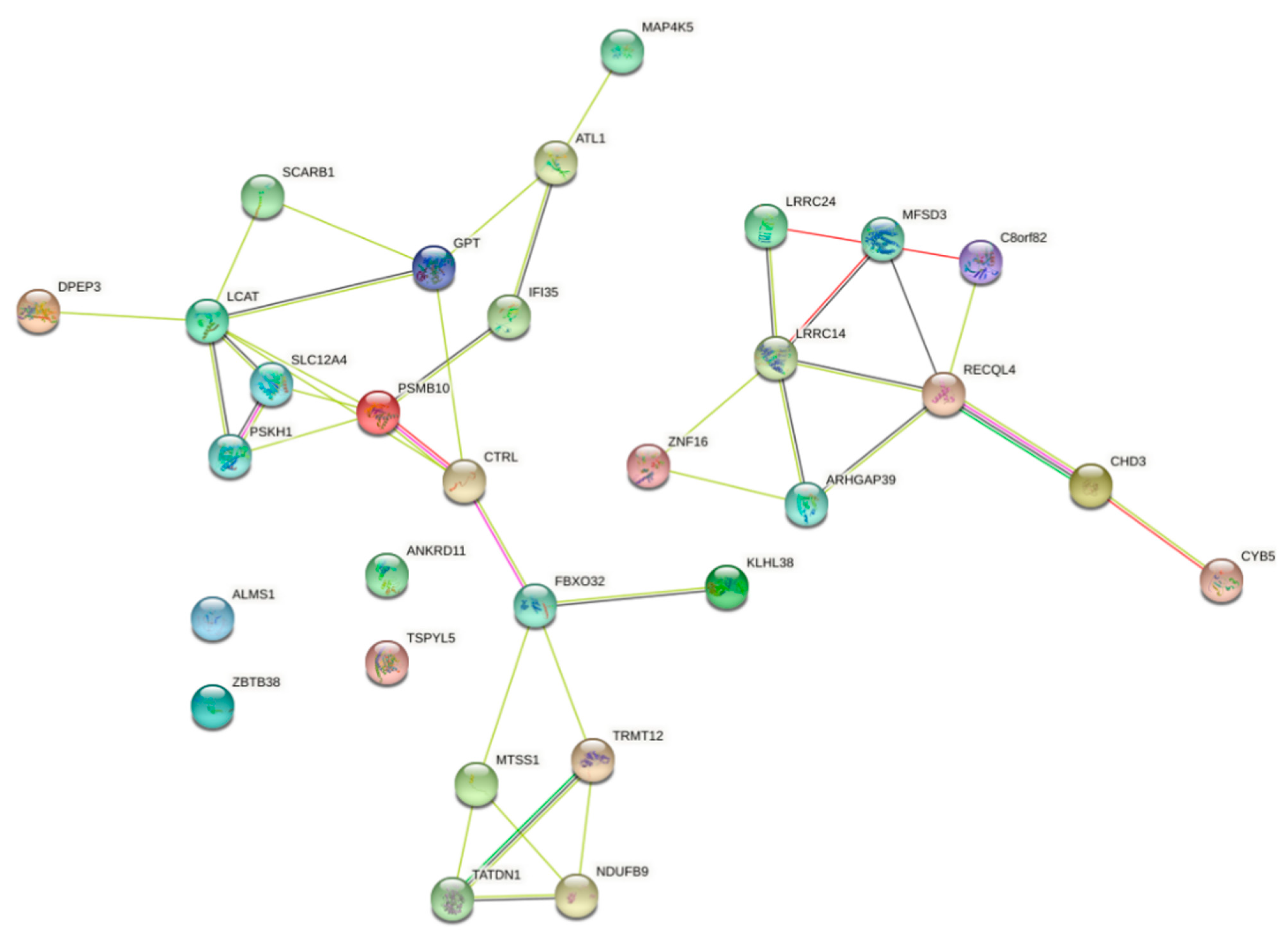 Ijms 24 02472 g008 Ijms 24 02472 g008