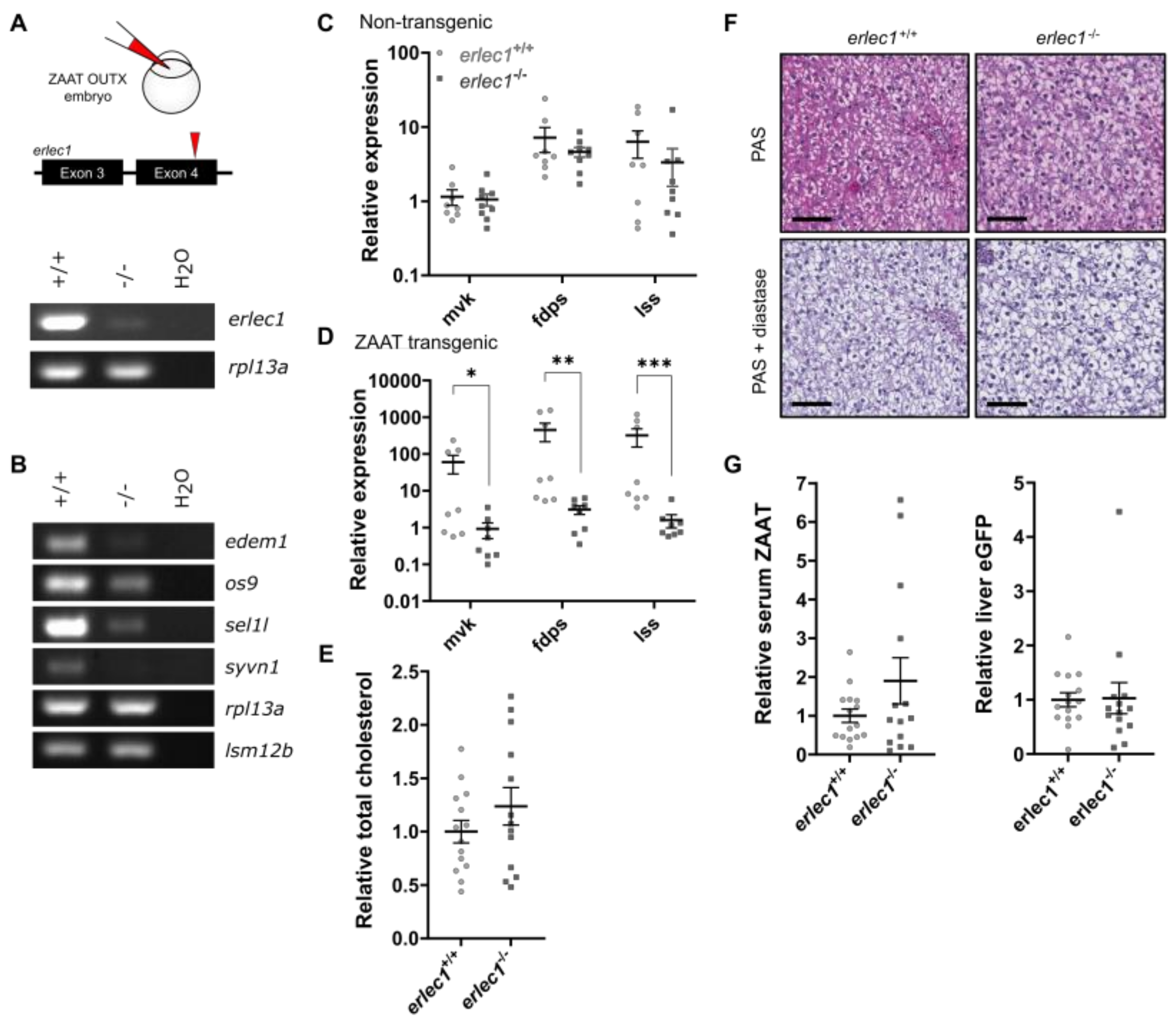 Expression of the Z Variant of α1-Antitrypsin Suppresses