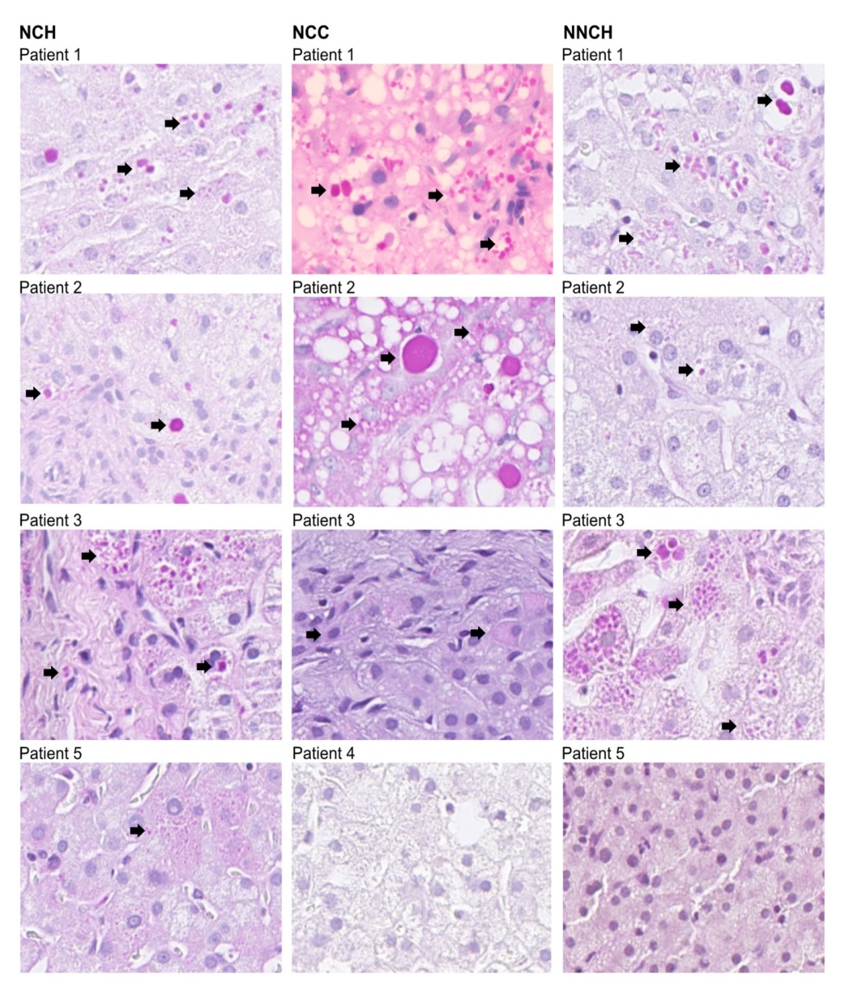 Ijms 24 02485 g001 Ijms 24 02485 g001