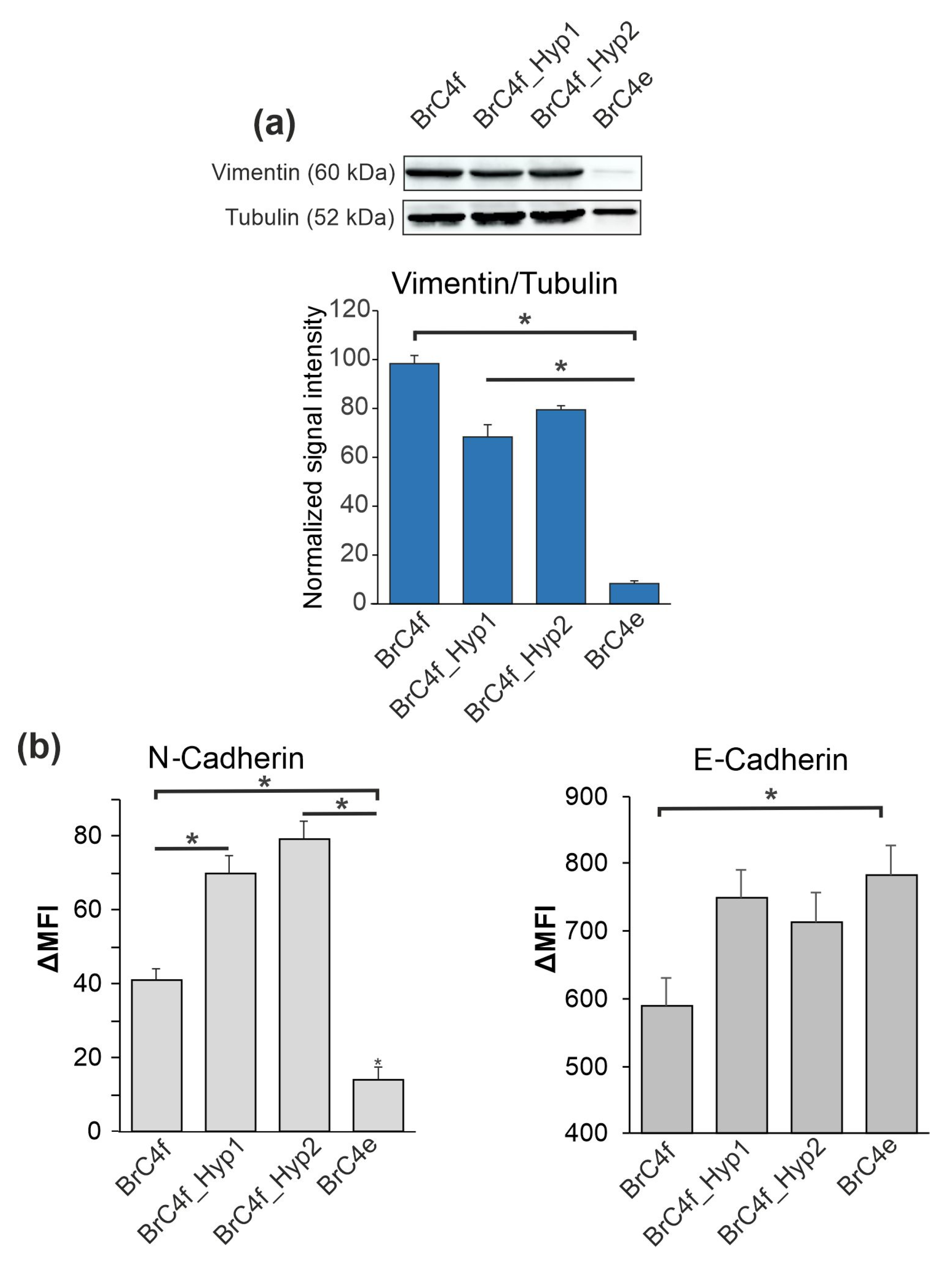 Ijms 24 02494 g002 Ijms 24 02494 g002