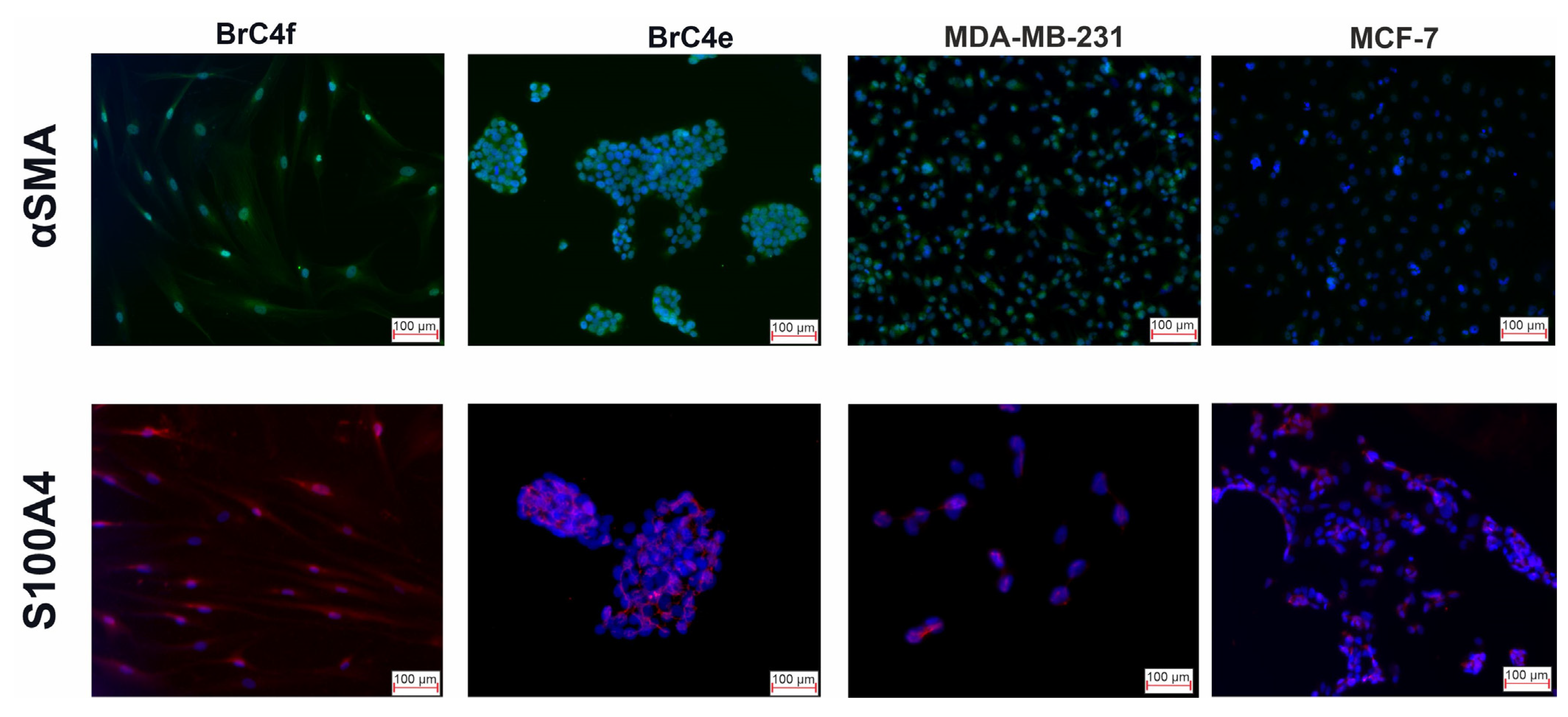 Ijms 24 02494 g003 Ijms 24 02494 g003