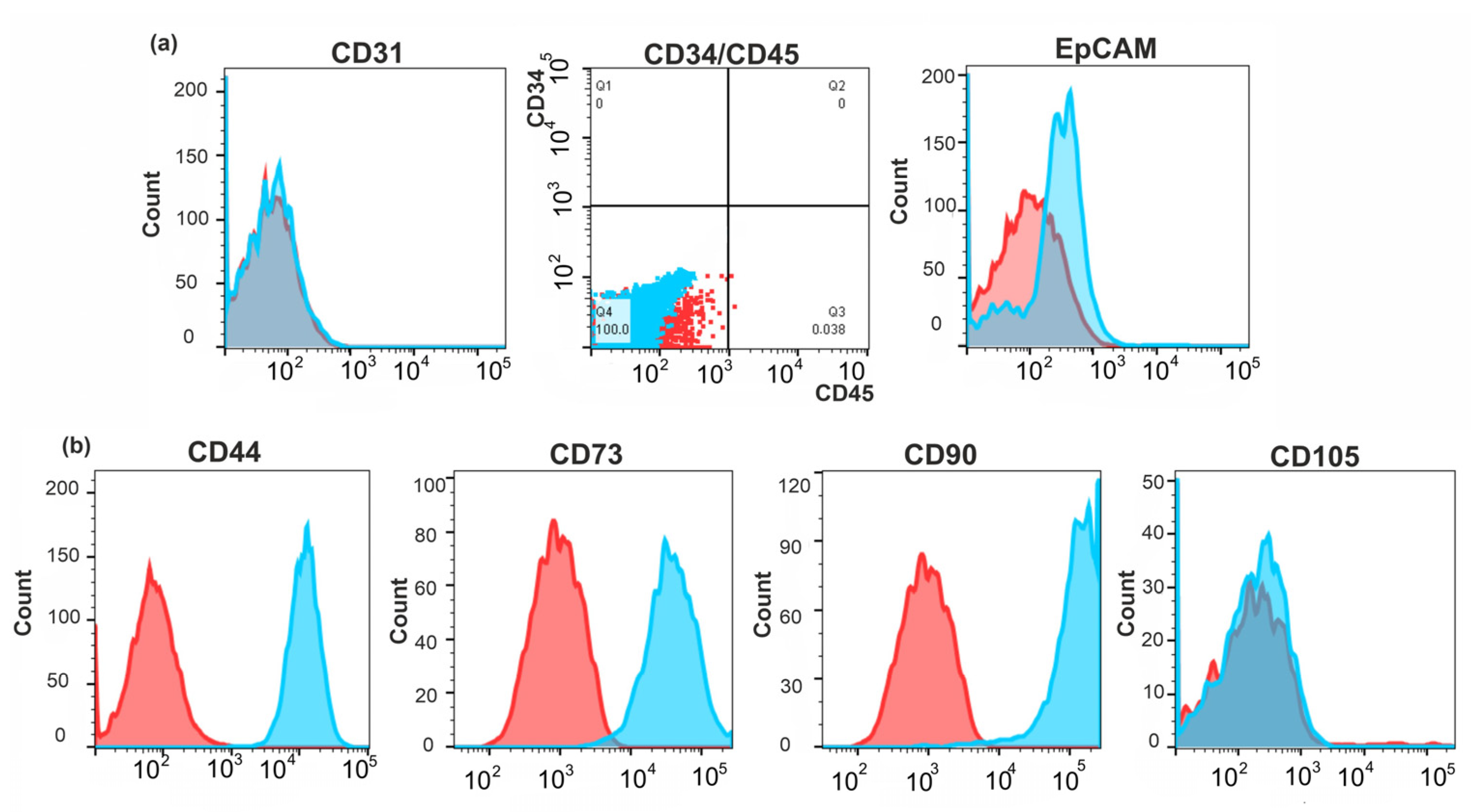 Ijms 24 02494 g004 Ijms 24 02494 g004