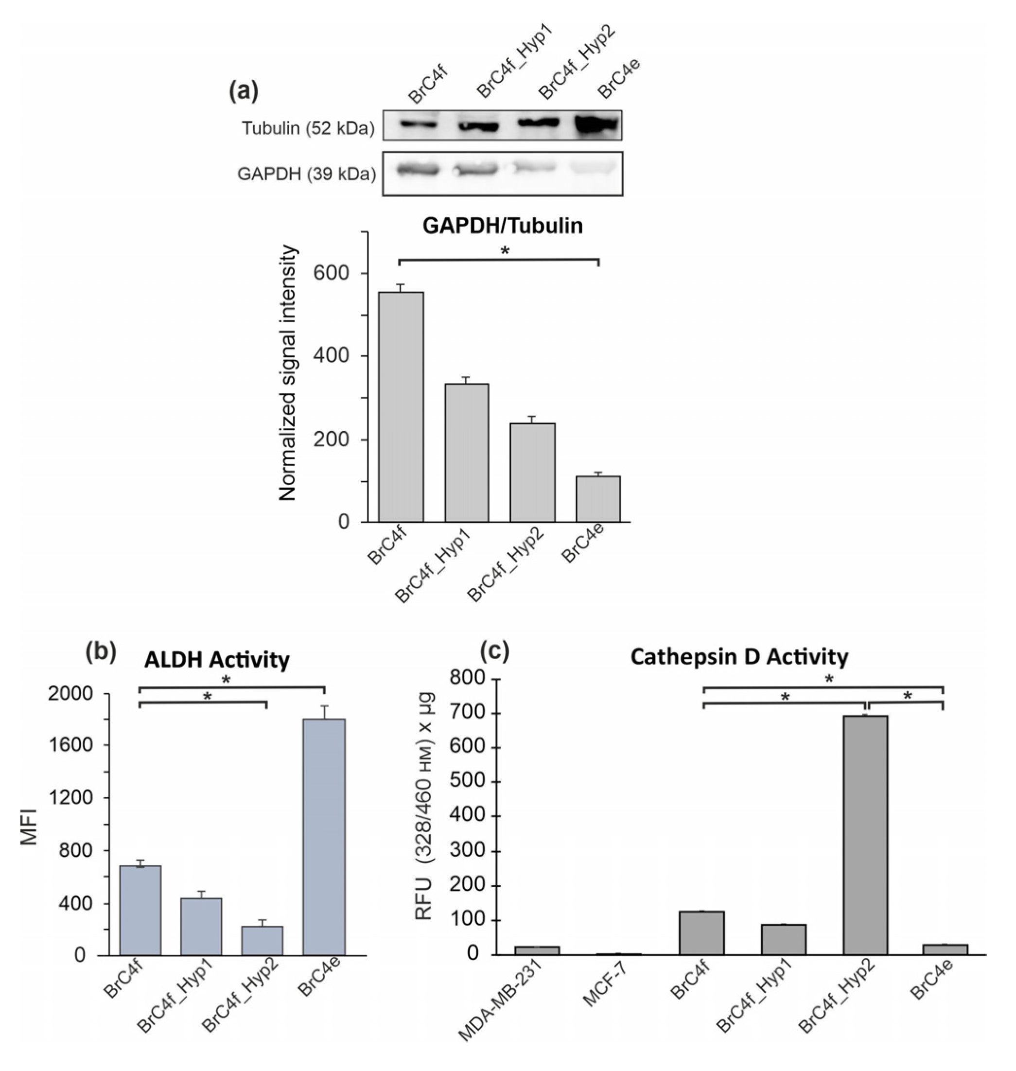 Ijms 24 02494 g006 Ijms 24 02494 g006