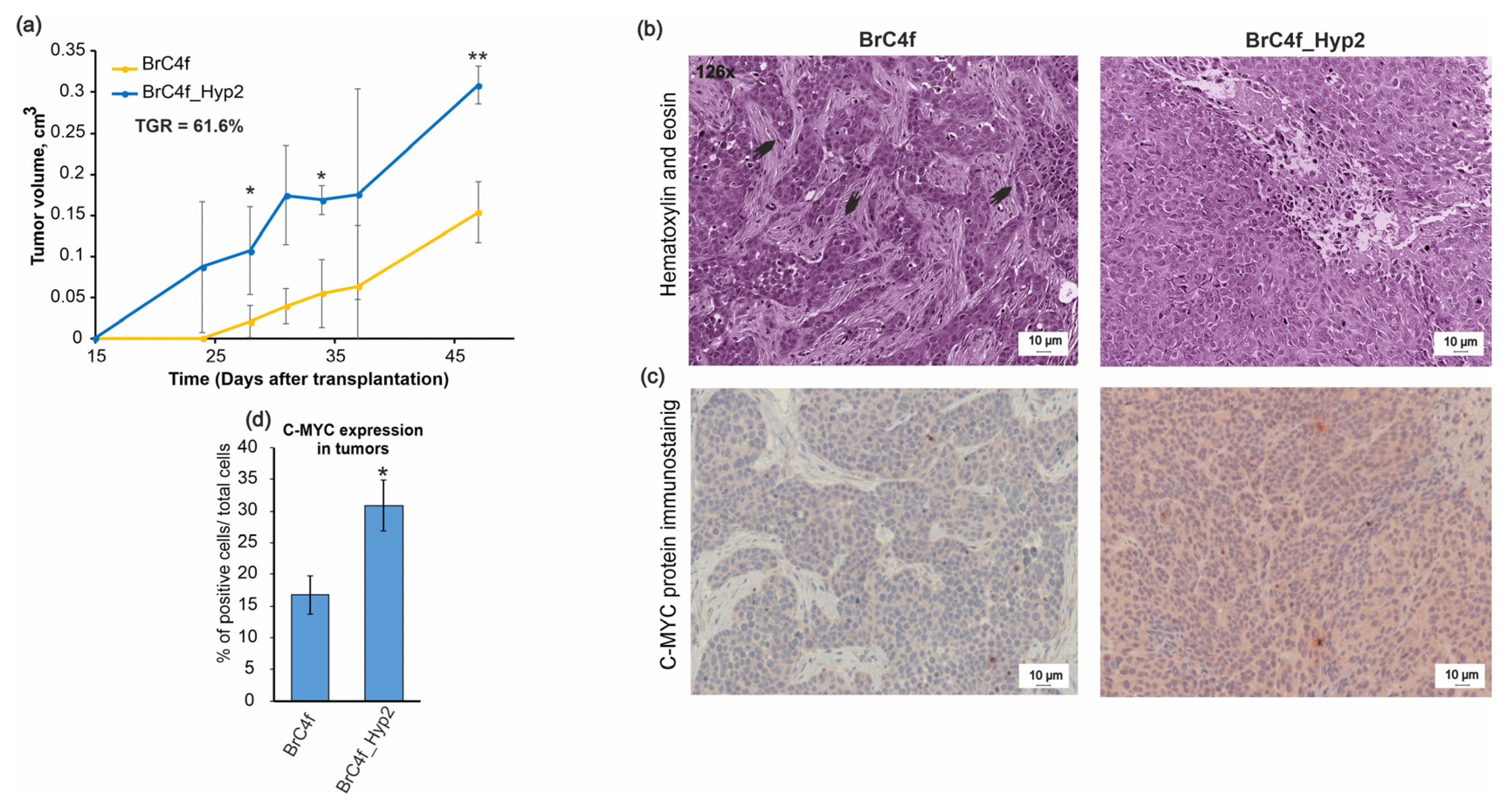 Ijms 24 02494 g007 Ijms 24 02494 g007