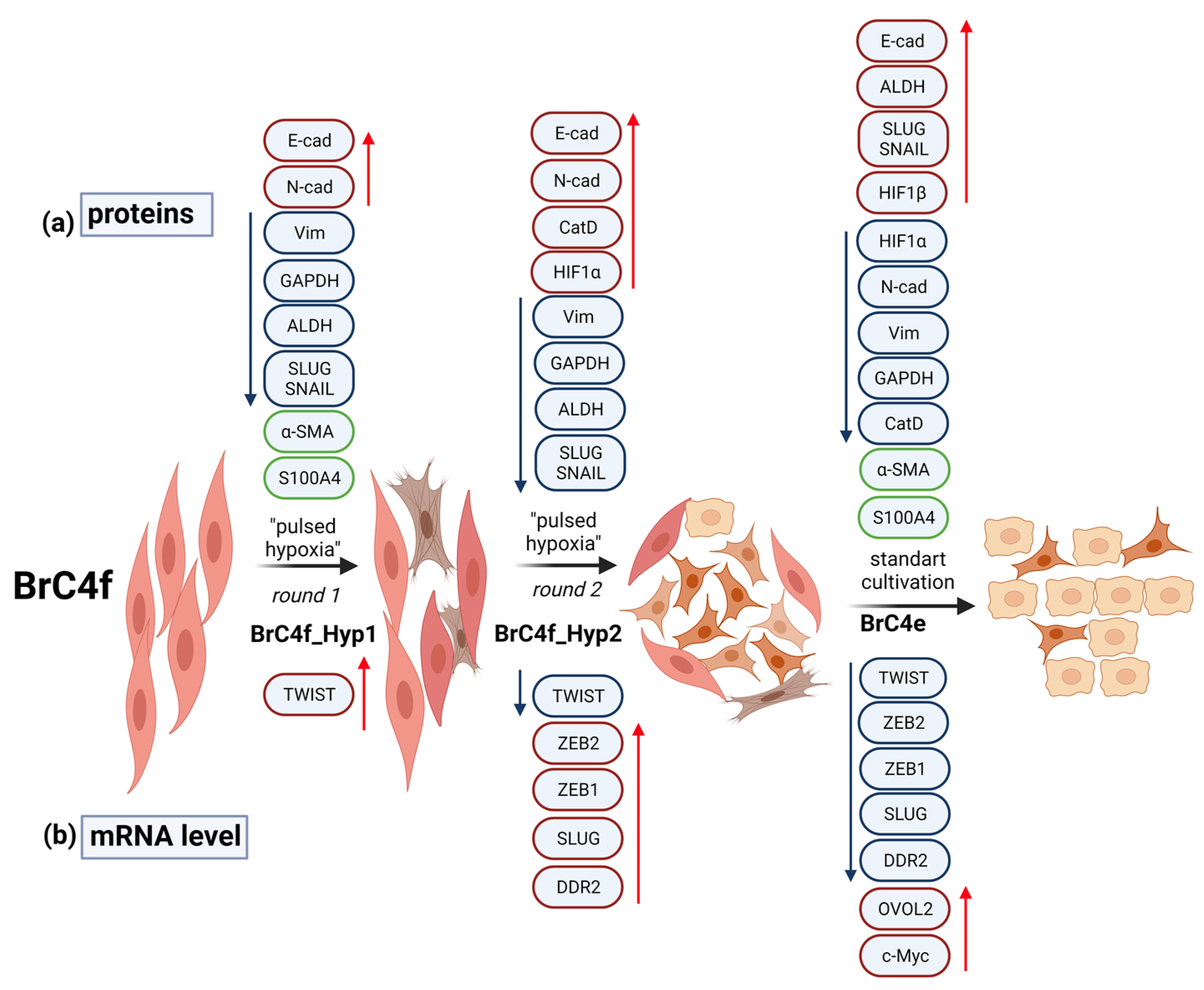 Ijms 24 02494 g008 Ijms 24 02494 g008