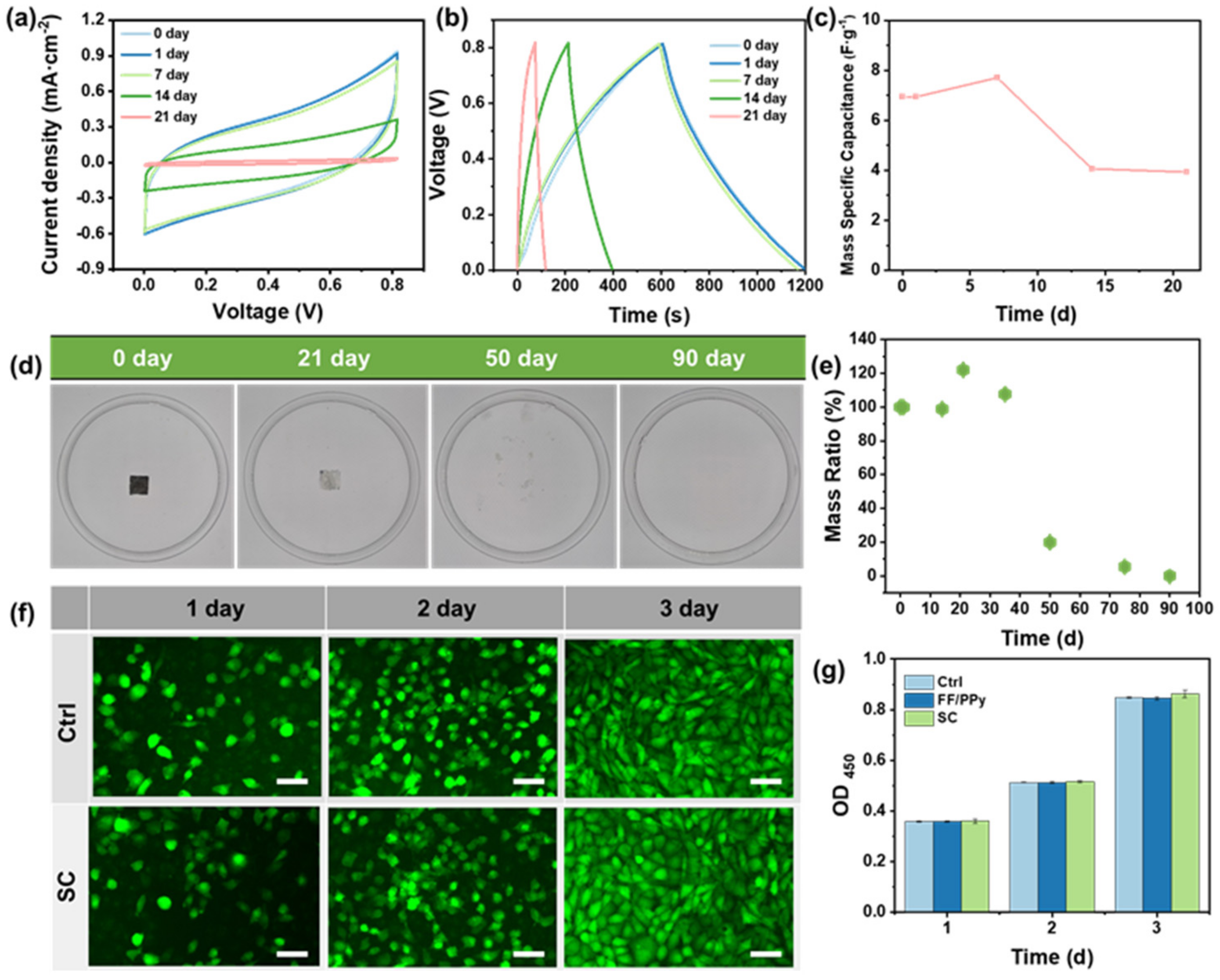 Ijms 24 02497 g004 Ijms 24 02497 g004