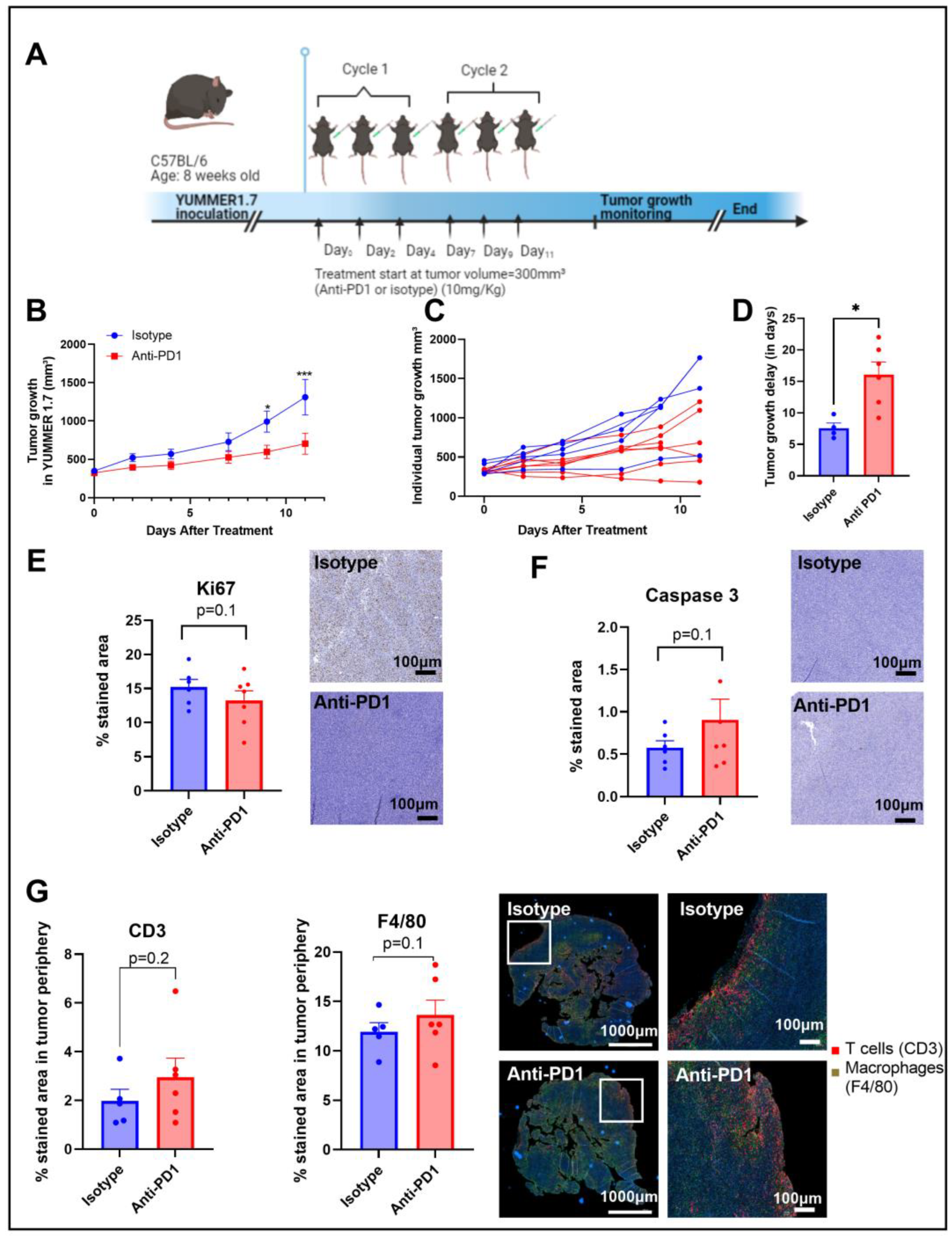 Ijms 24 02499 g001 Ijms 24 02499 g001