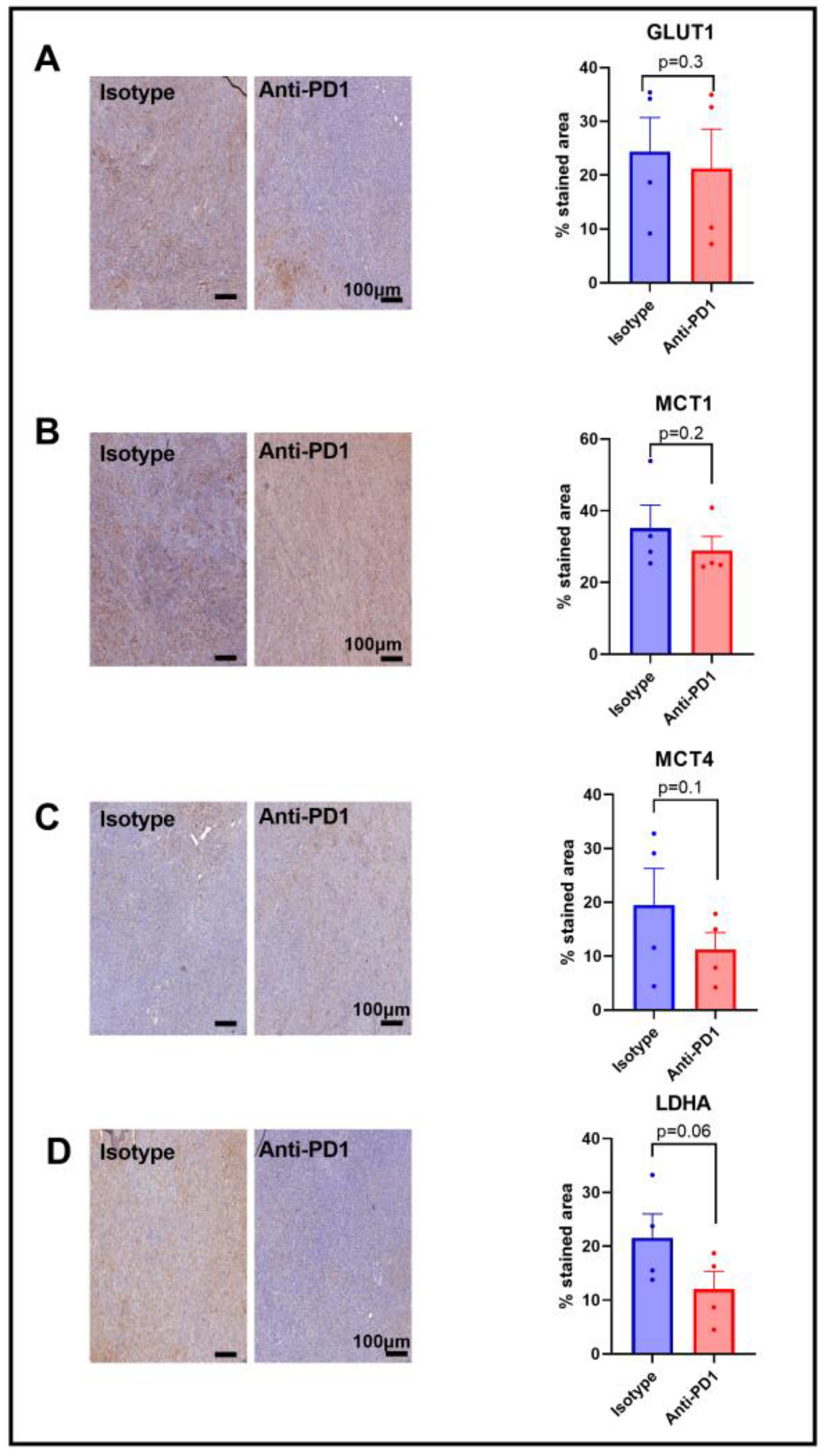 Ijms 24 02499 g004 Ijms 24 02499 g004