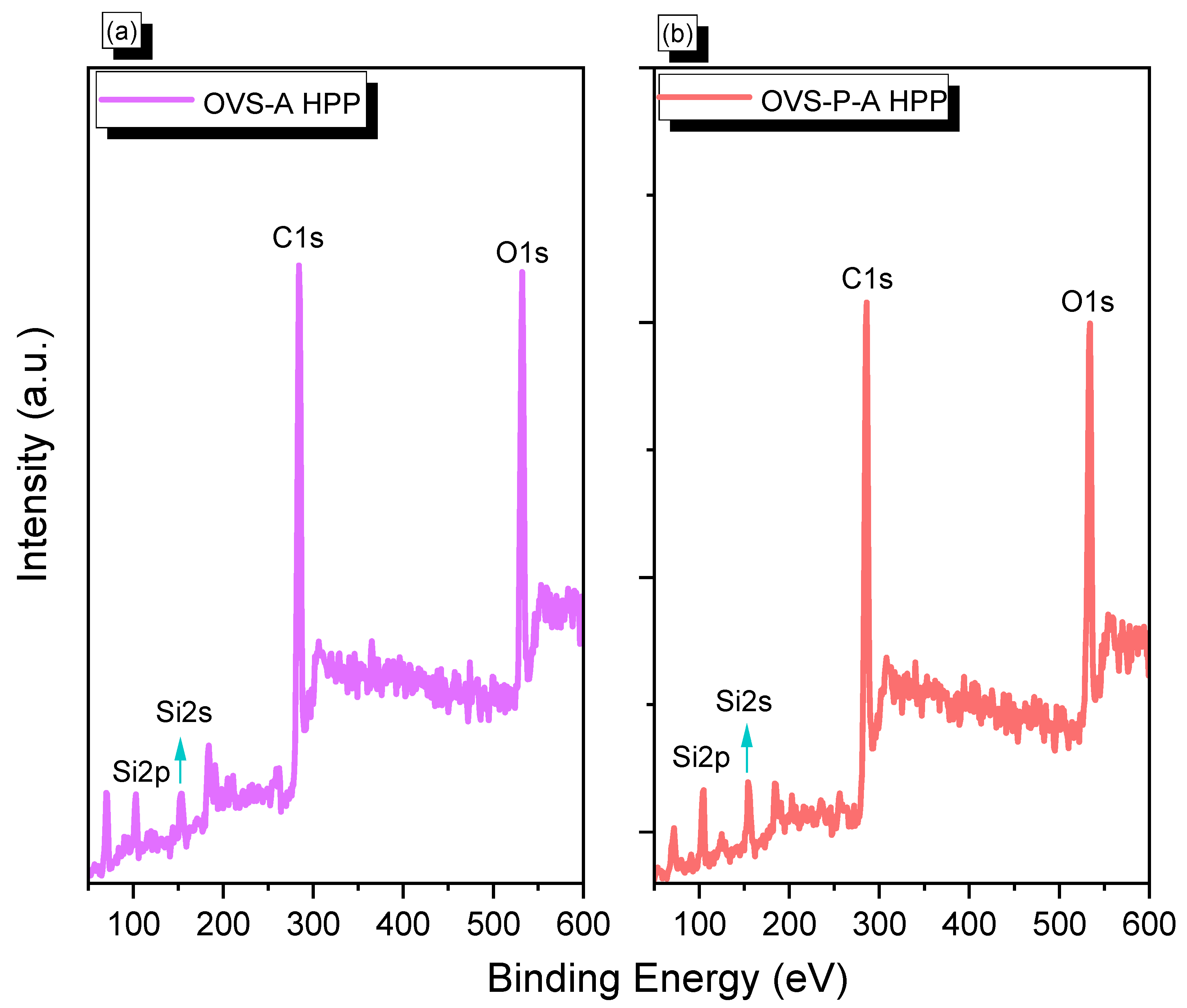 Ijms 24 02501 g002 Ijms 24 02501 g002