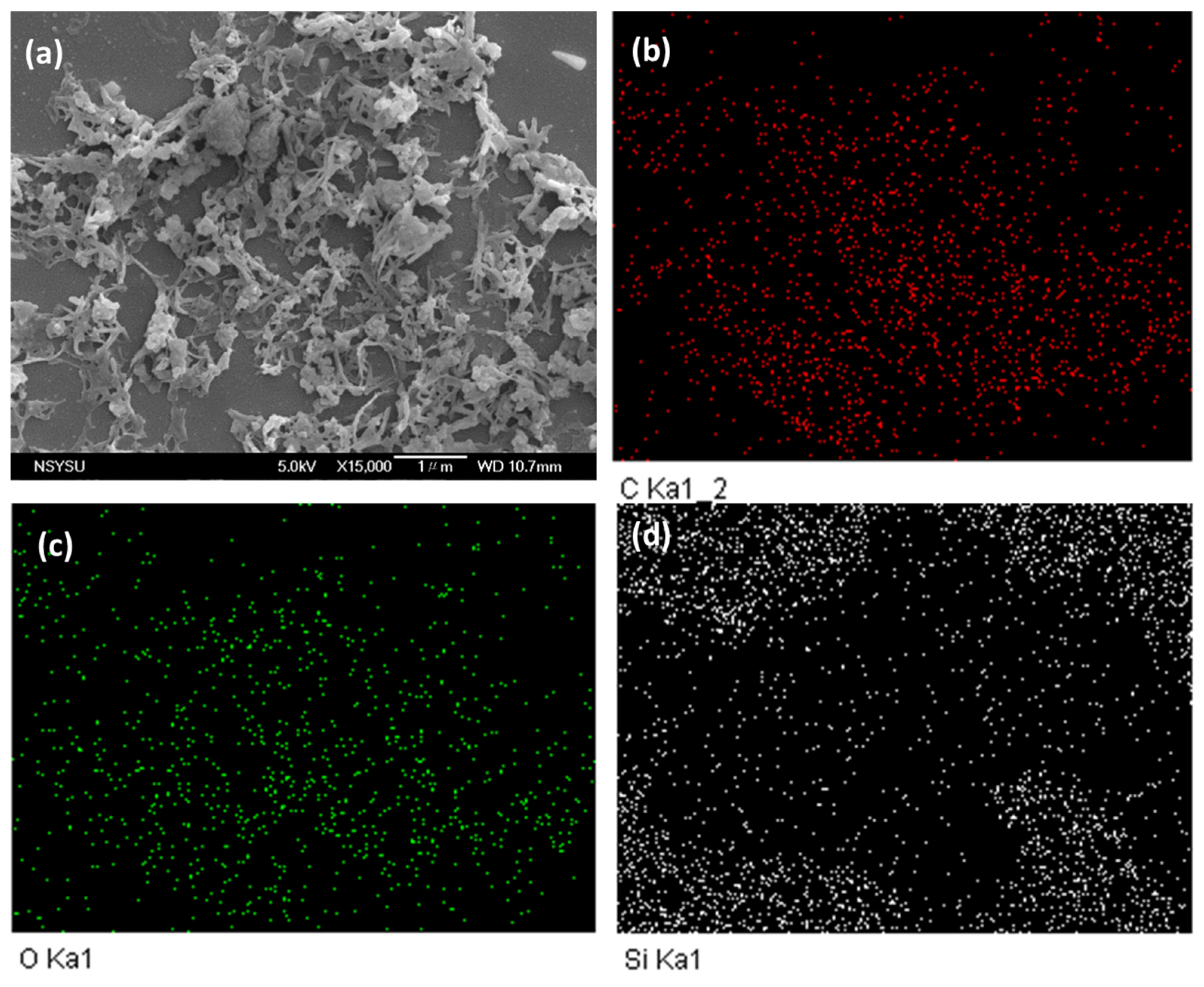 Ijms 24 02501 g006 Ijms 24 02501 g006