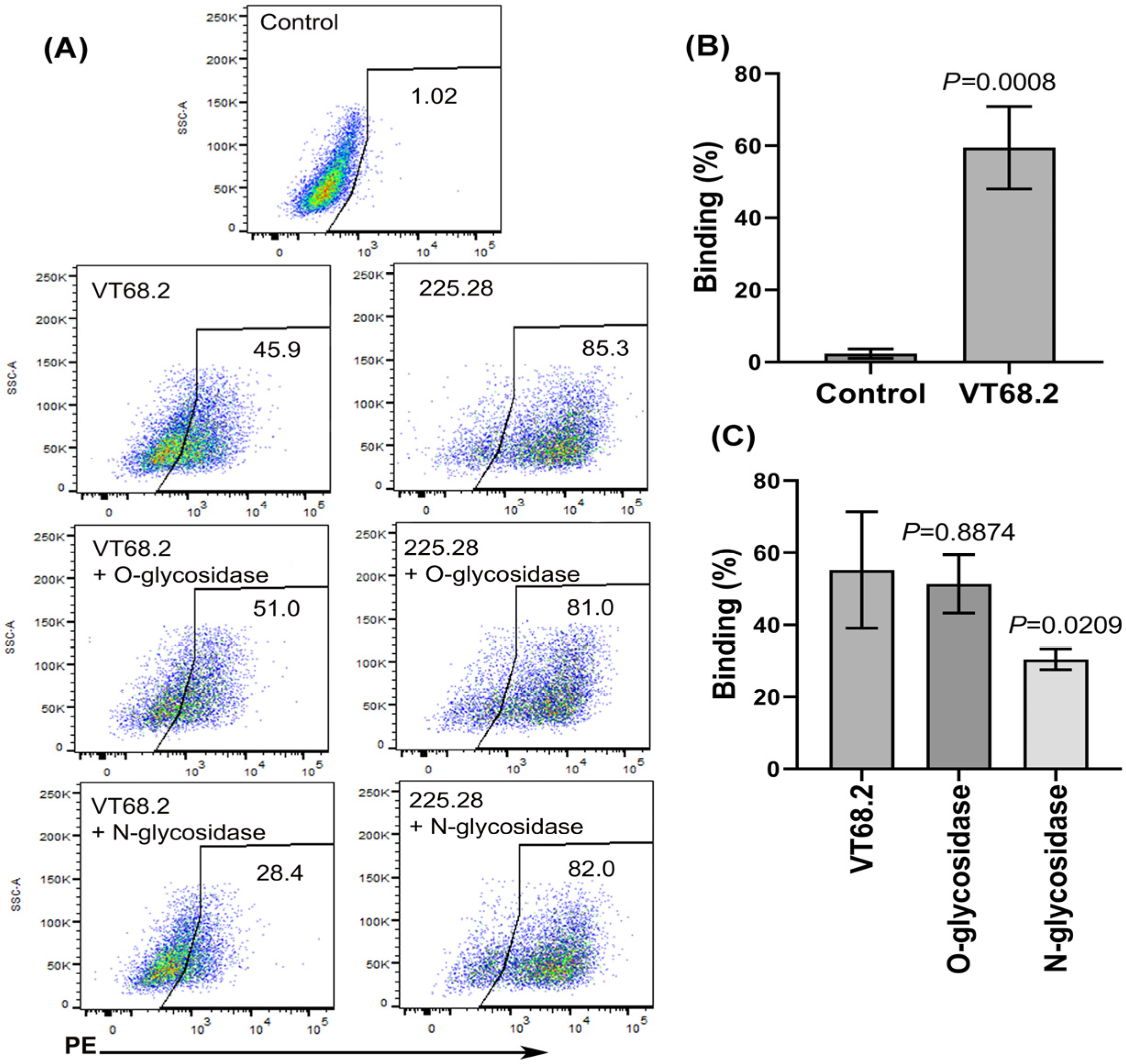 Ijms 24 02506 g001 Ijms 24 02506 g001