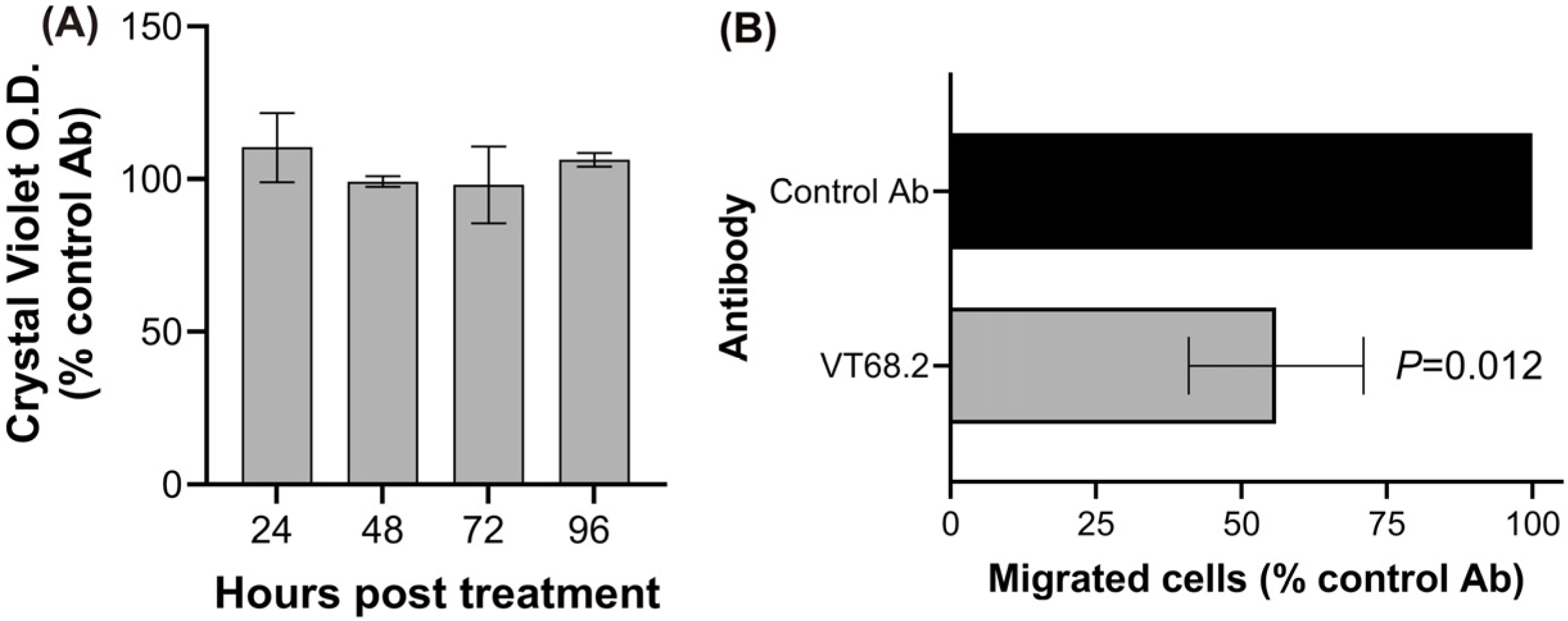Ijms 24 02506 g004 Ijms 24 02506 g004