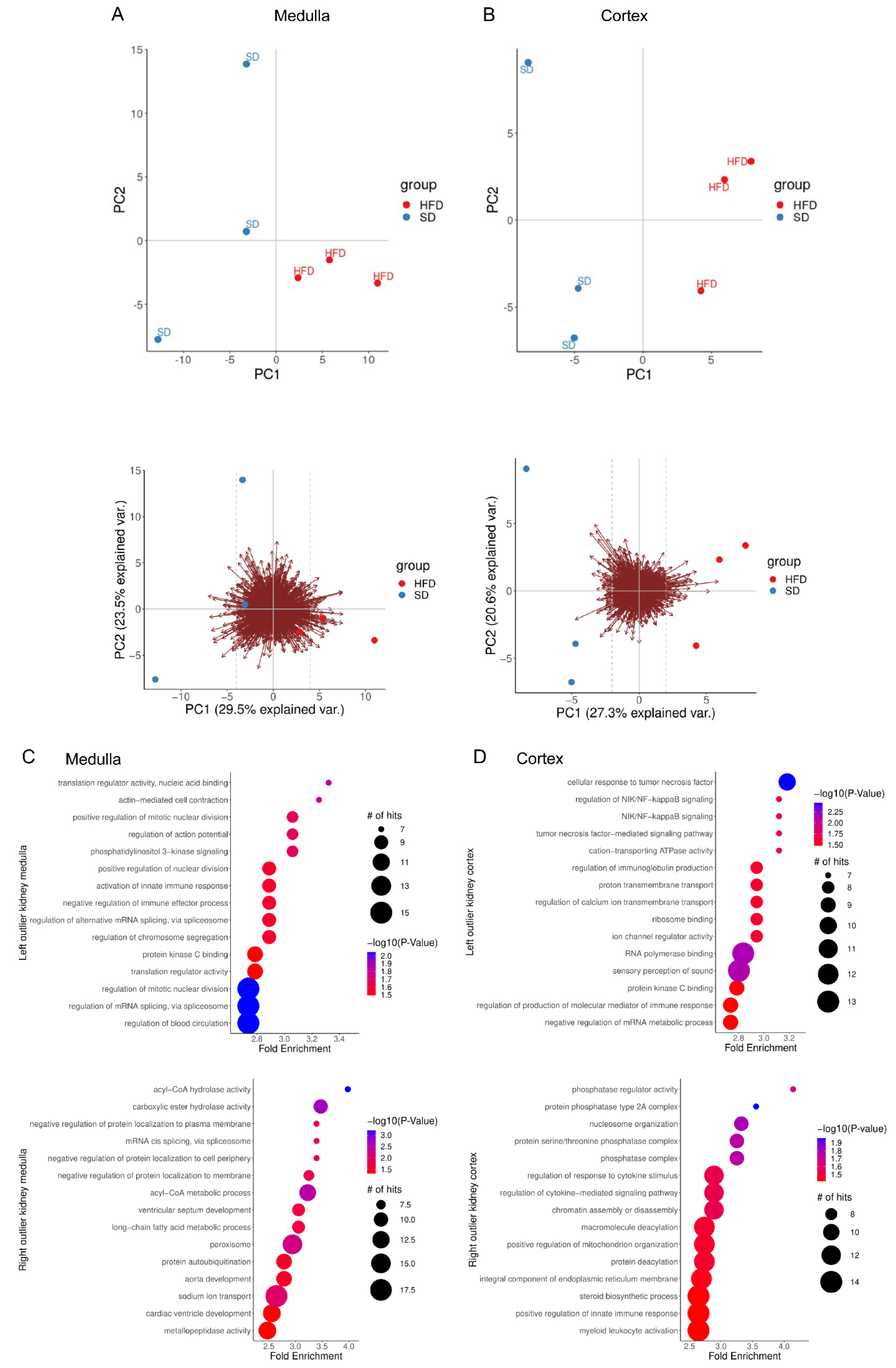 Ijms 24 02508 g002 Ijms 24 02508 g002
