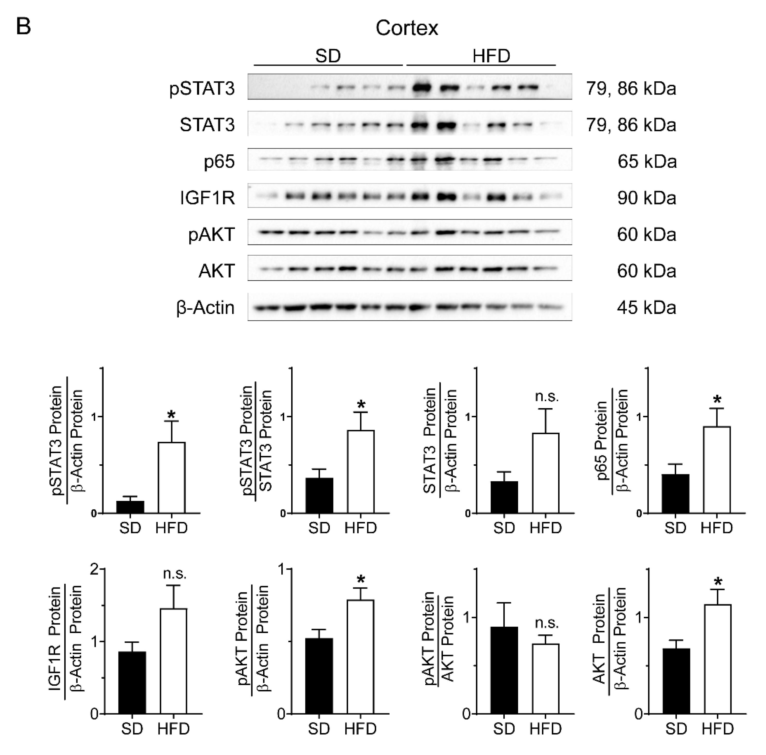 Ijms 24 02508 g003b Ijms 24 02508 g003b