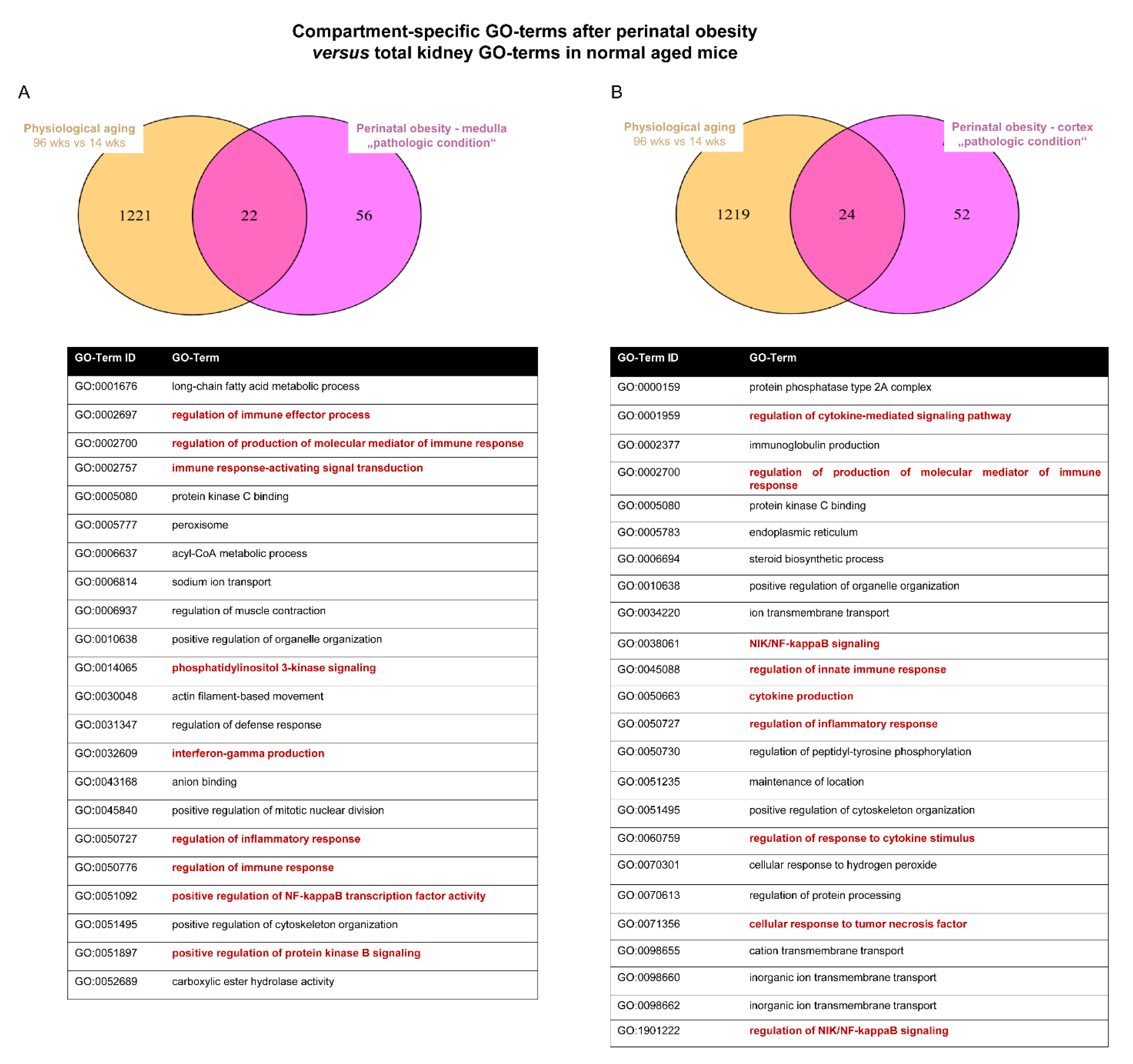 Ijms 24 02508 g004a Ijms 24 02508 g004a