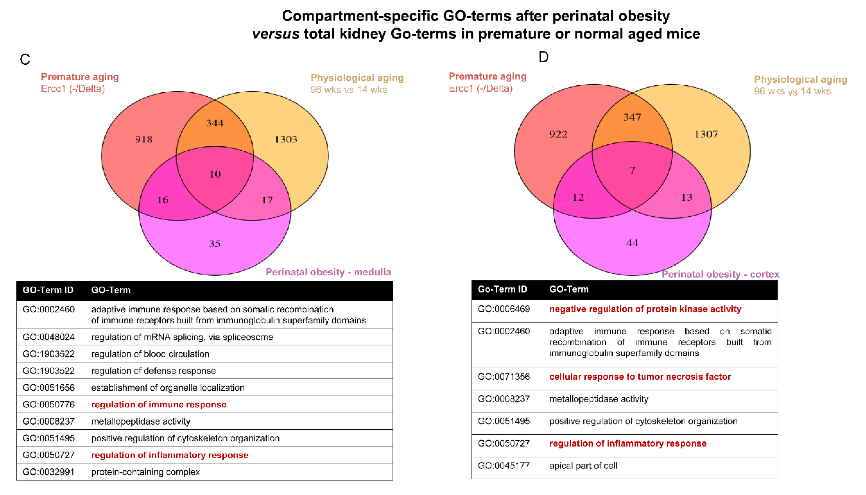 Ijms 24 02508 g004b Ijms 24 02508 g004b