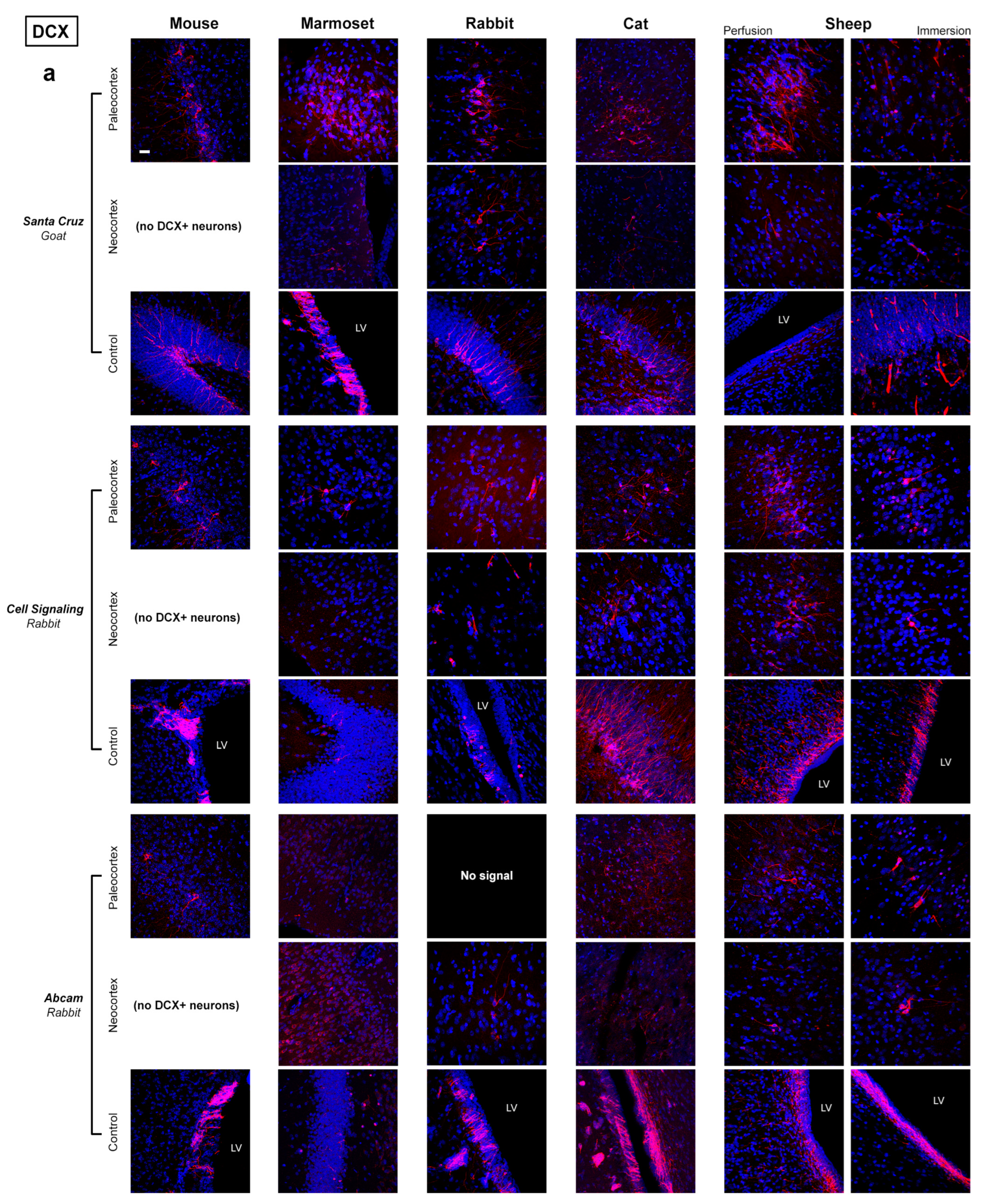 Ijms 24 02514 g005a Ijms 24 02514 g005a