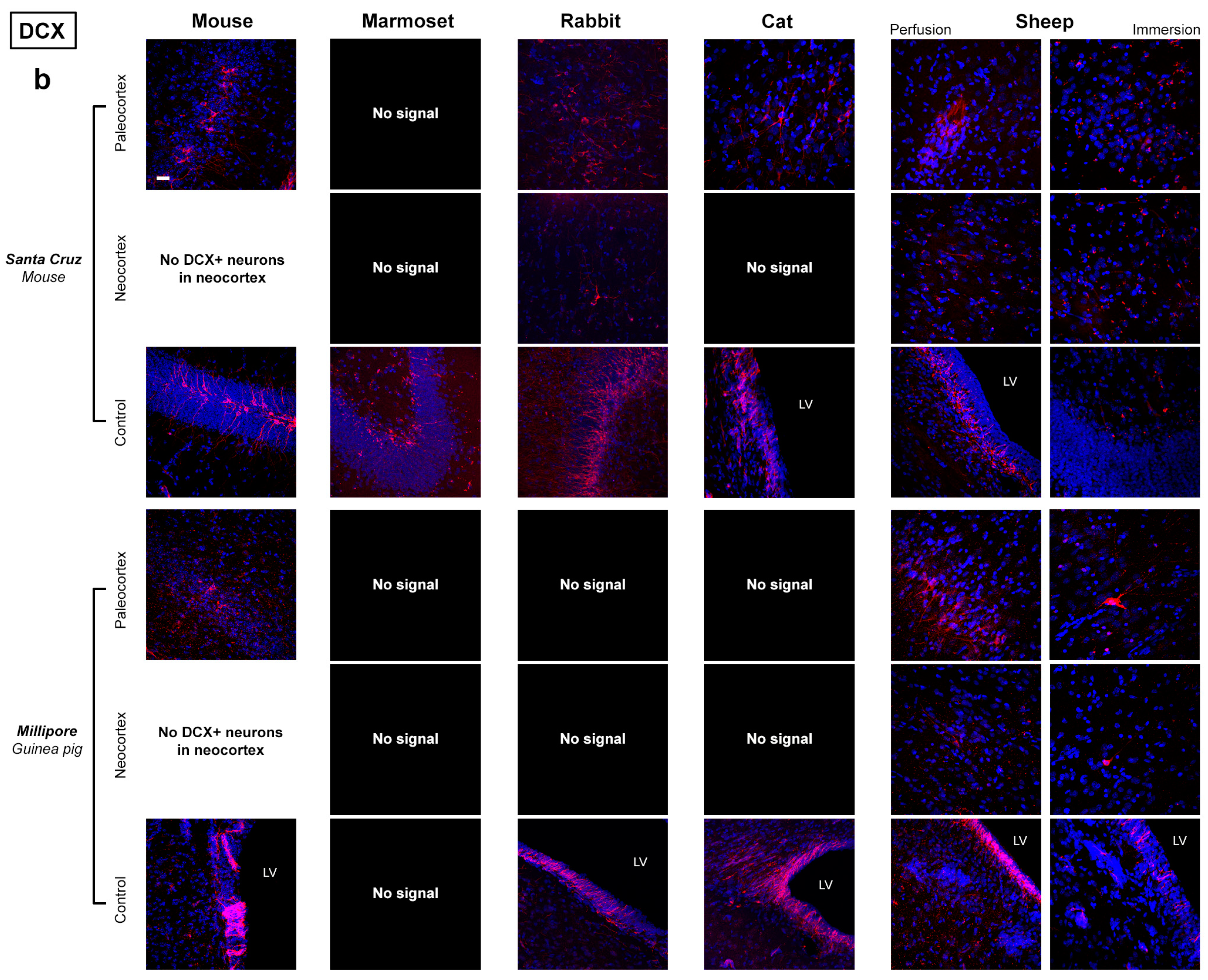 Ijms 24 02514 g005b Ijms 24 02514 g005b