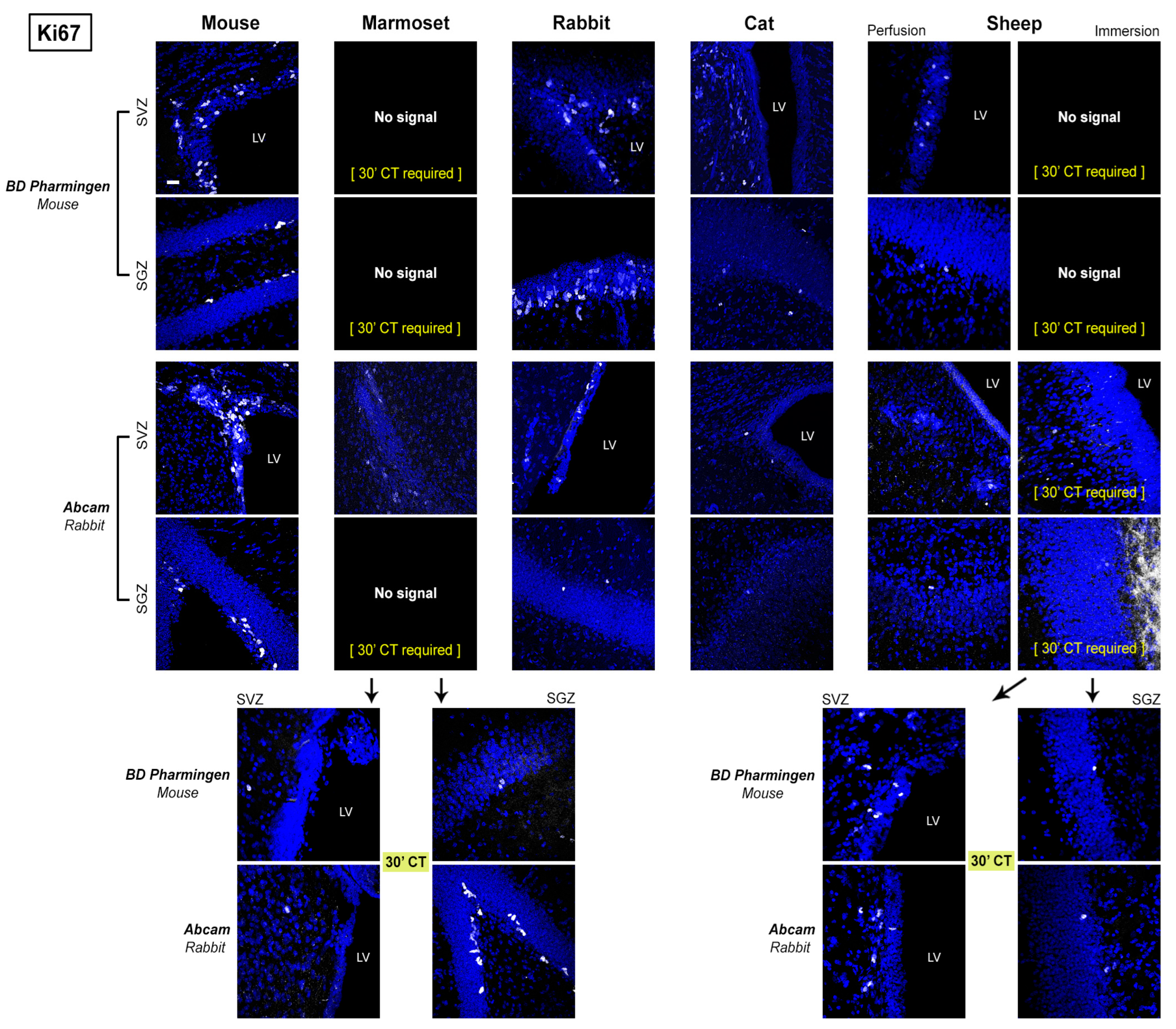 Ijms 24 02514 g006 Ijms 24 02514 g006