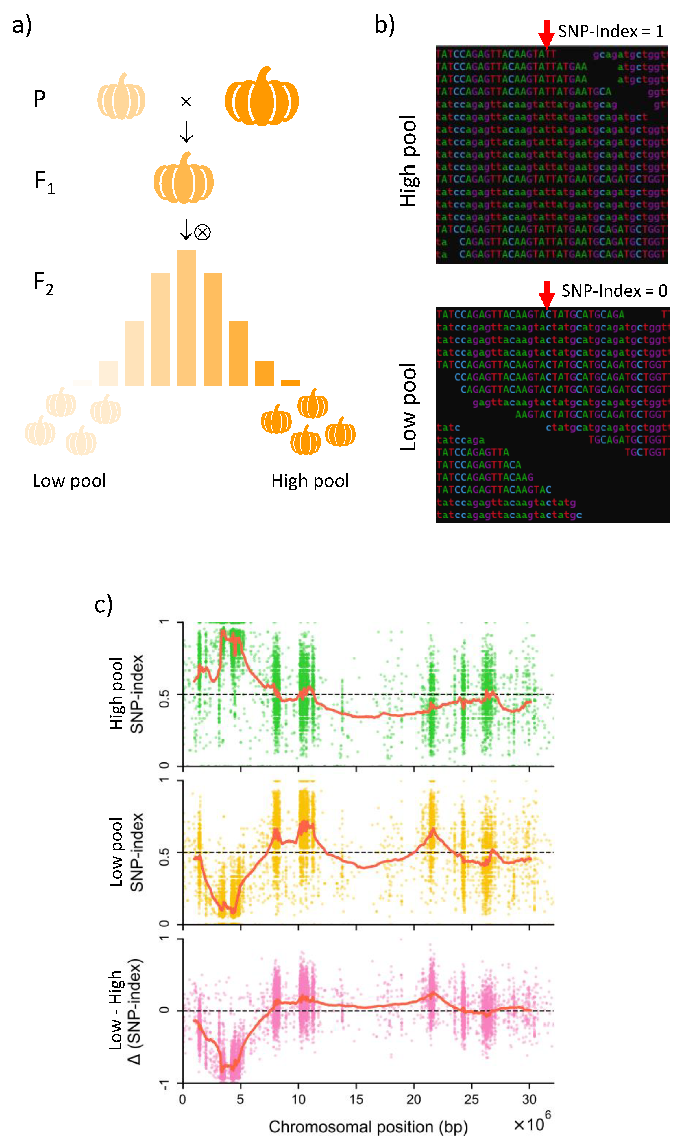 Ijms 24 02526 g002 Ijms 24 02526 g002
