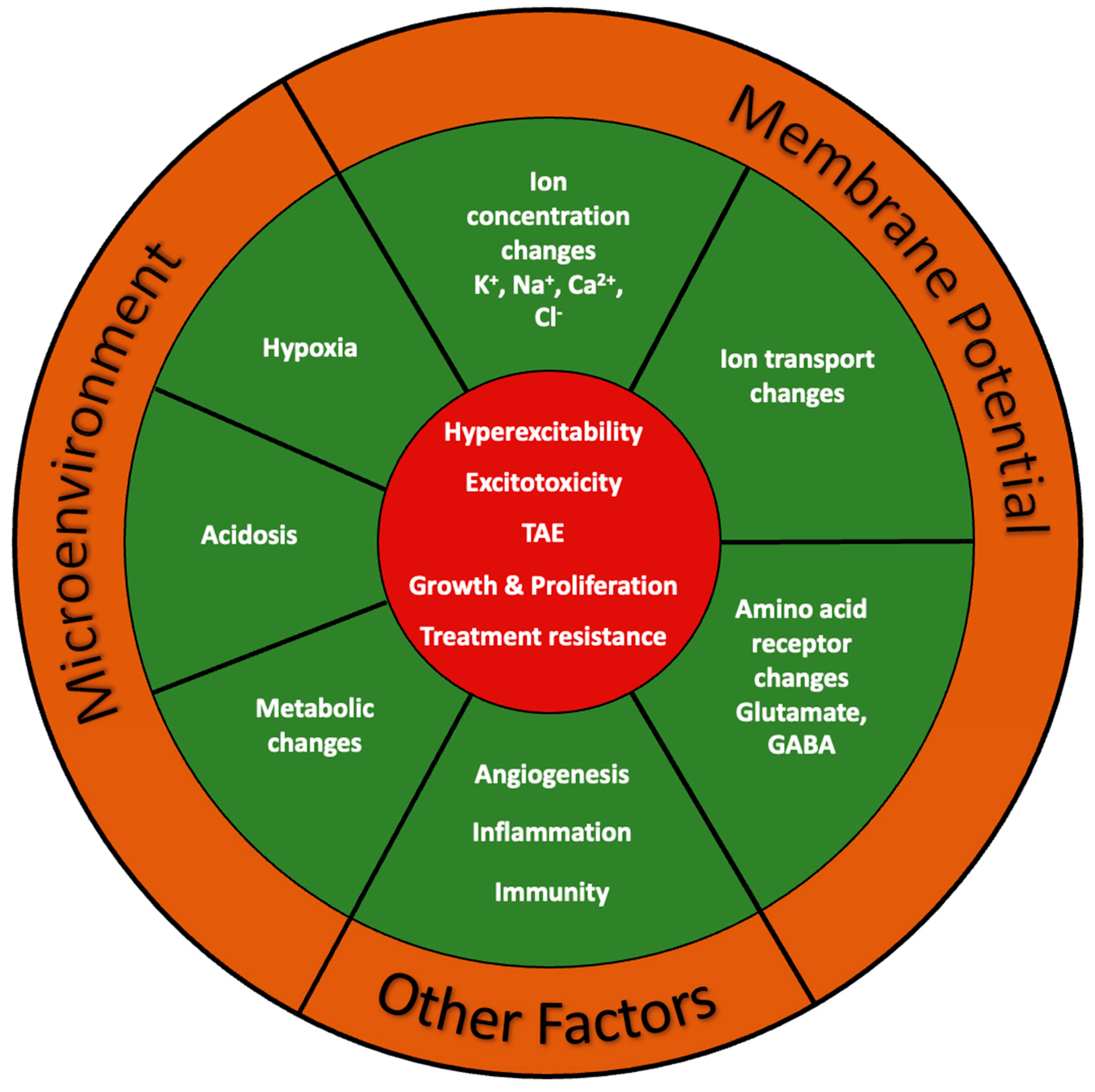 Ijms 24 02530 g005 Ijms 24 02530 g005
