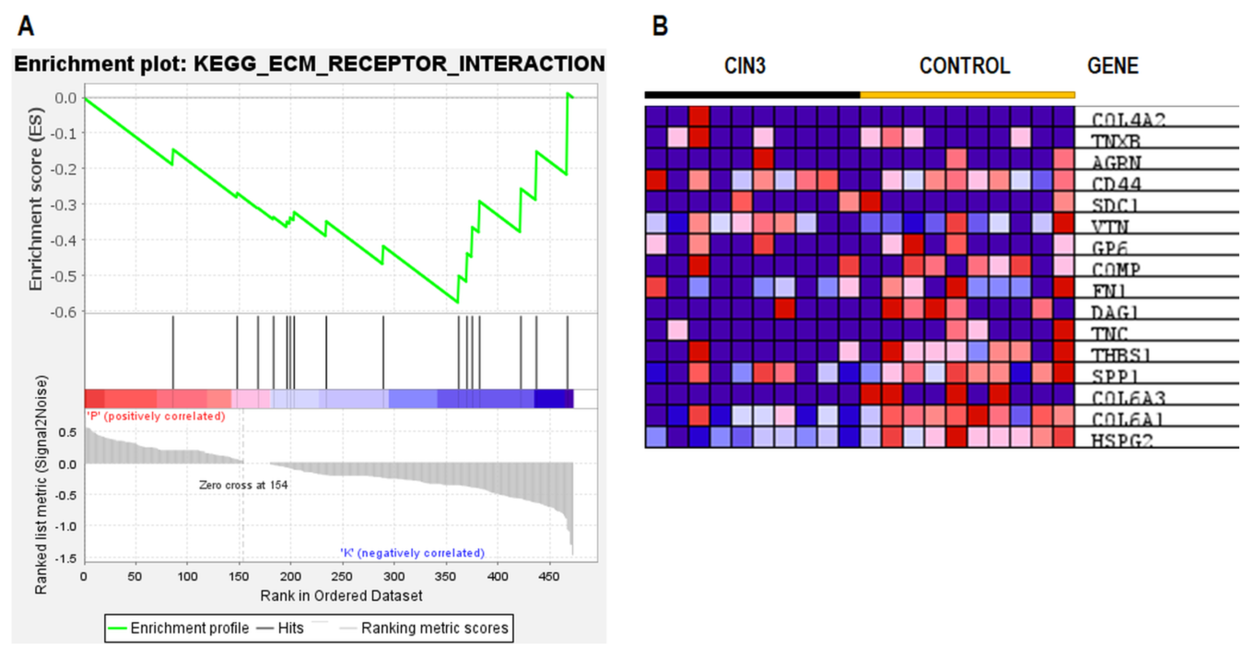 Ijms 24 02531 g004 Ijms 24 02531 g004