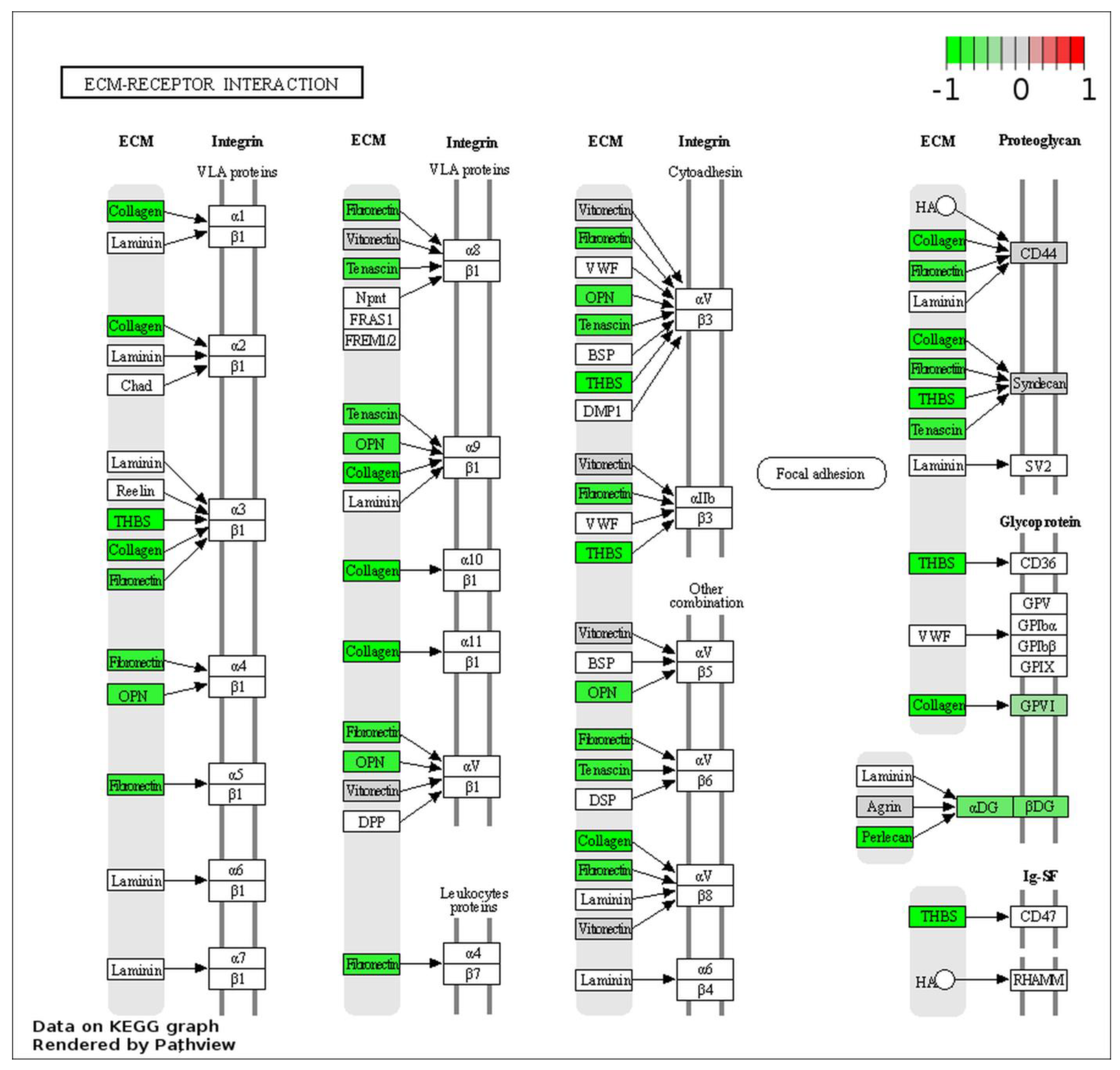 Ijms 24 02531 g005 Ijms 24 02531 g005
