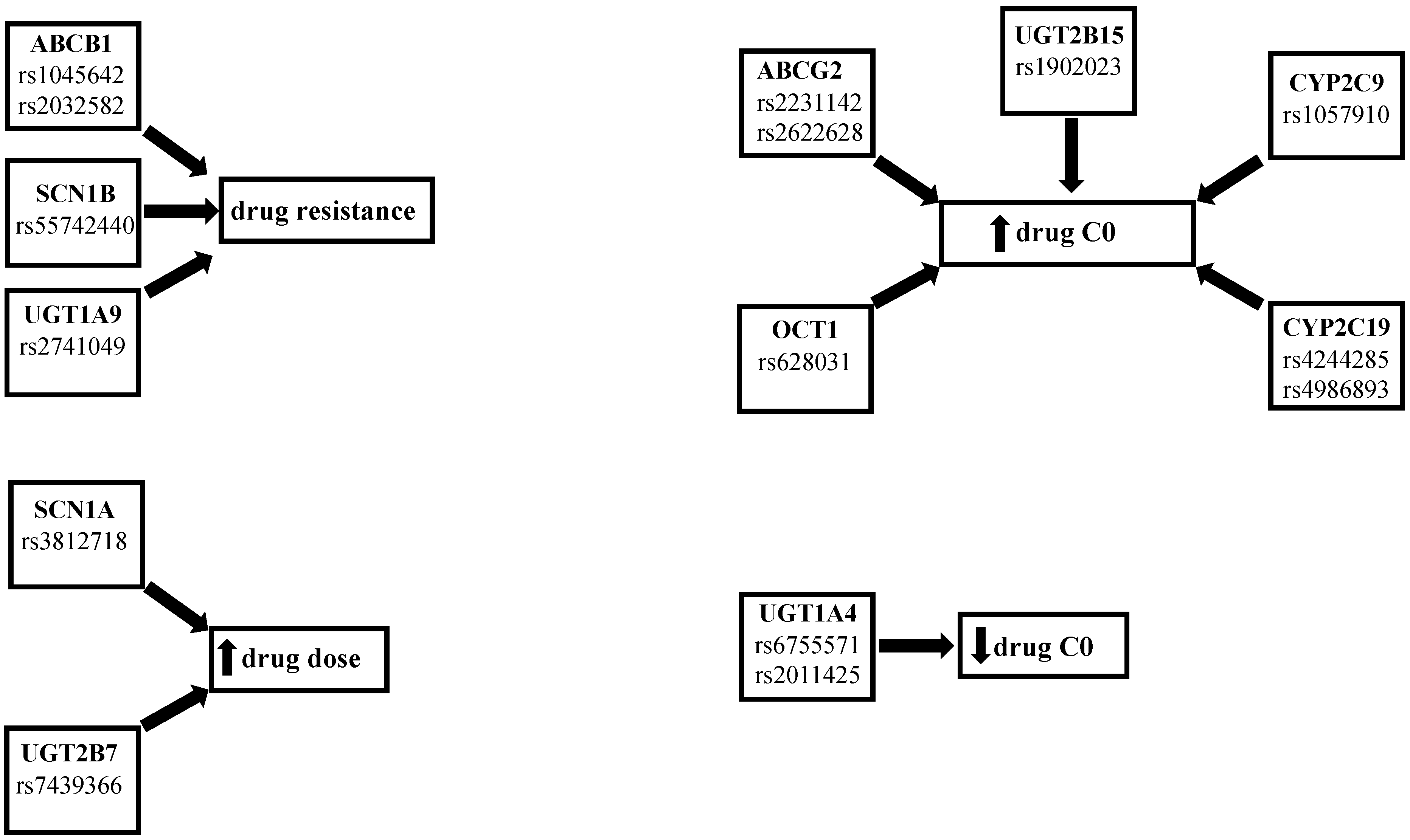 Ijms 24 02535 g001 Ijms 24 02535 g001
