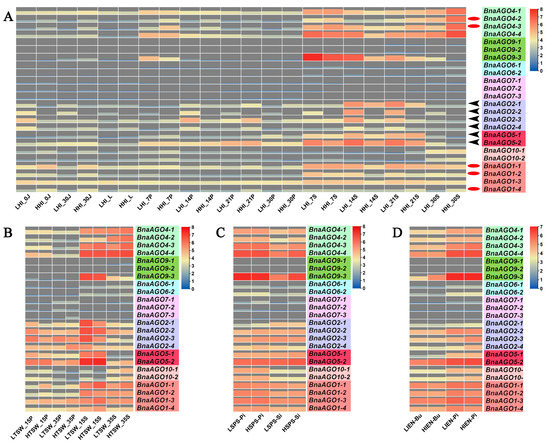 CROSS CONTRAST COLORS 全種類セット Genome-Wide Identification and Posttranscriptional