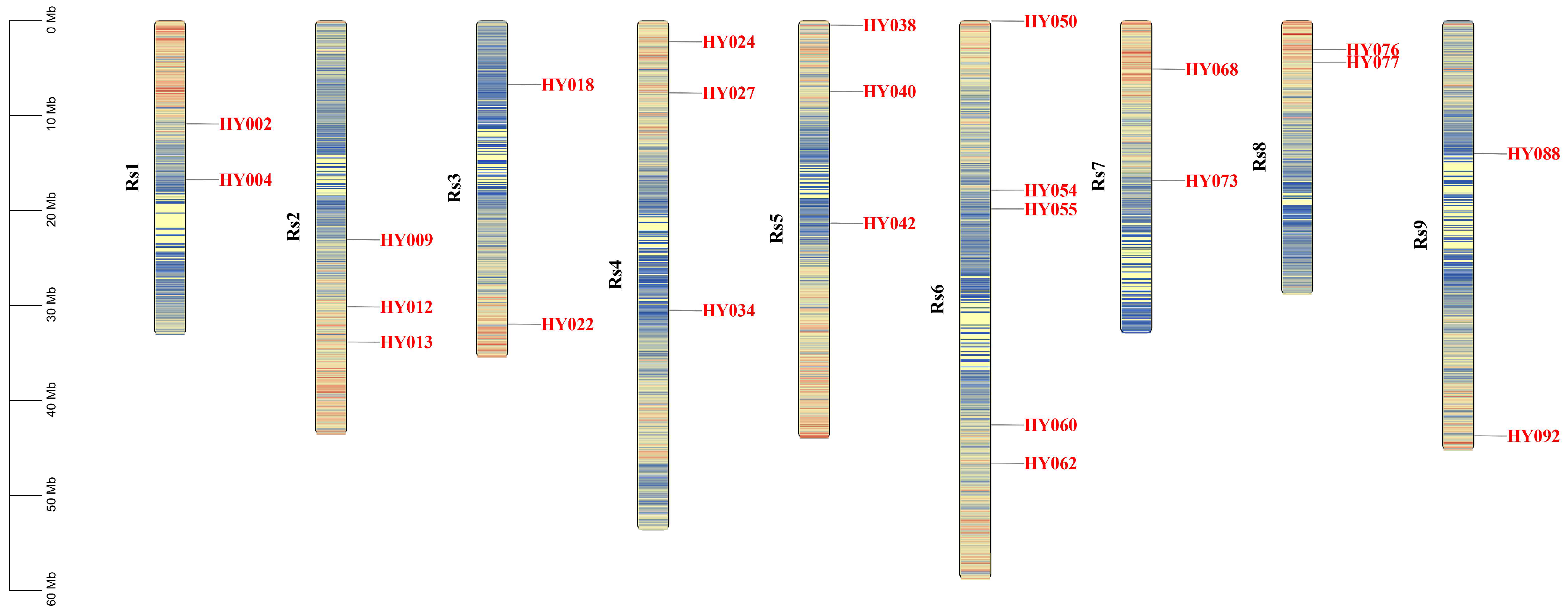 Ijms 24 02554 g001 Ijms 24 02554 g001