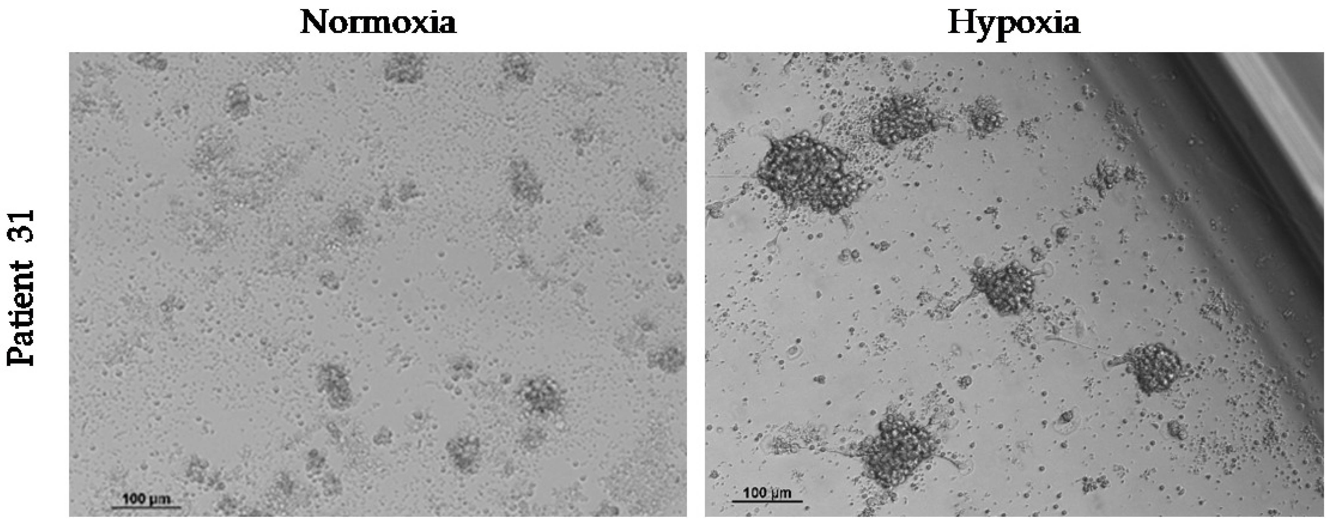 Ijms 24 02558 g006 Ijms 24 02558 g006