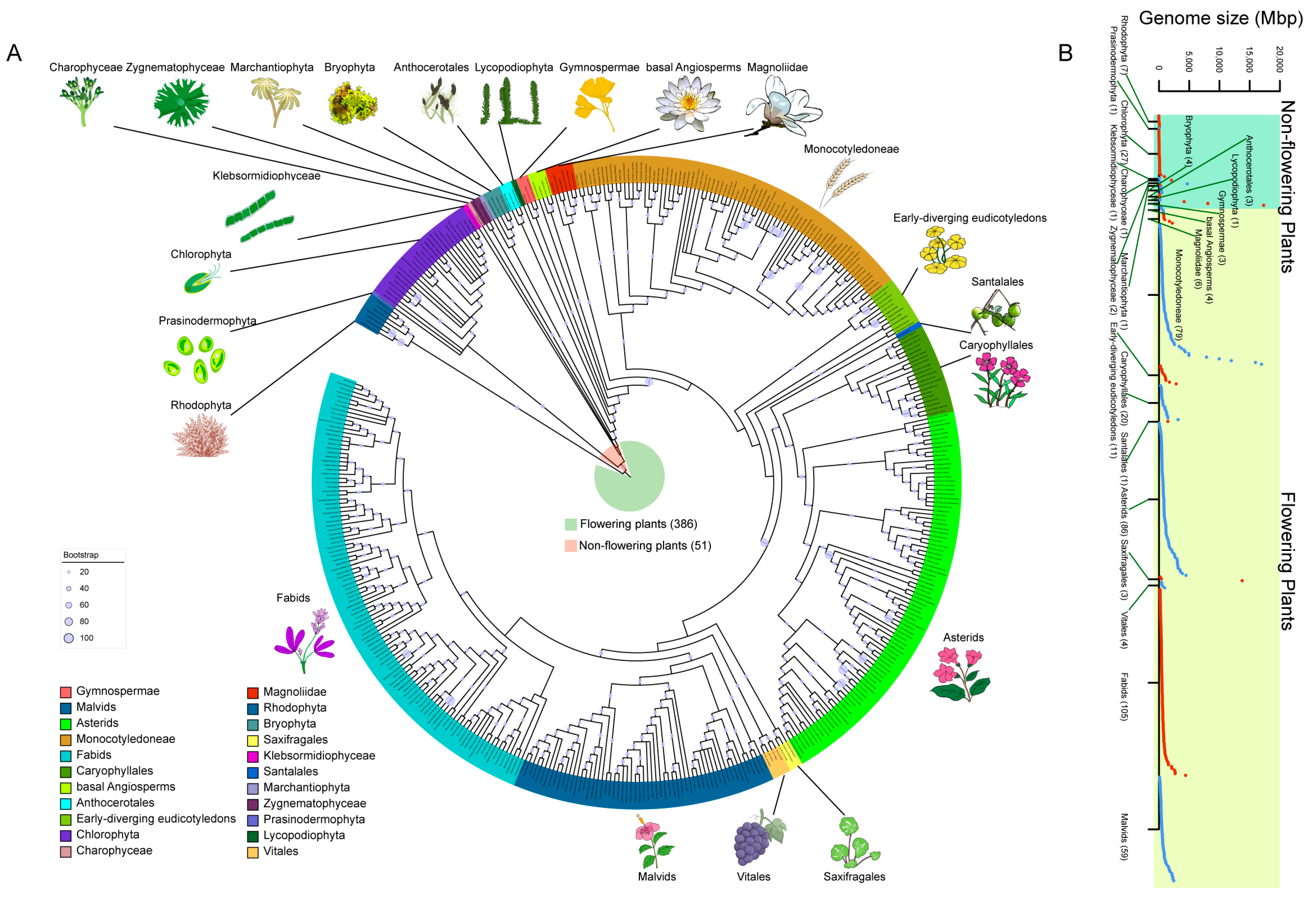 Ijms 24 02566 g001 Ijms 24 02566 g001
