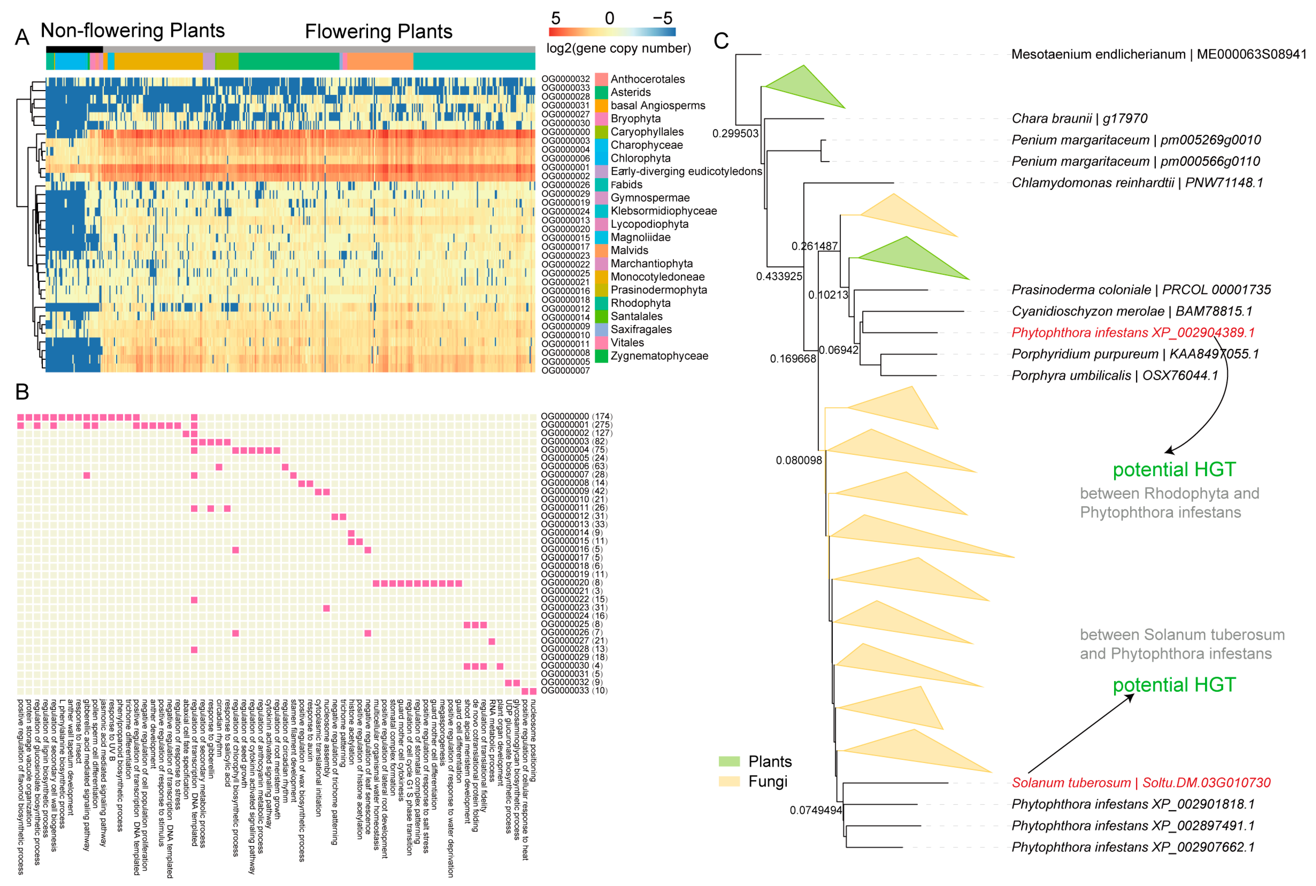 Ijms 24 02566 g004 Ijms 24 02566 g004