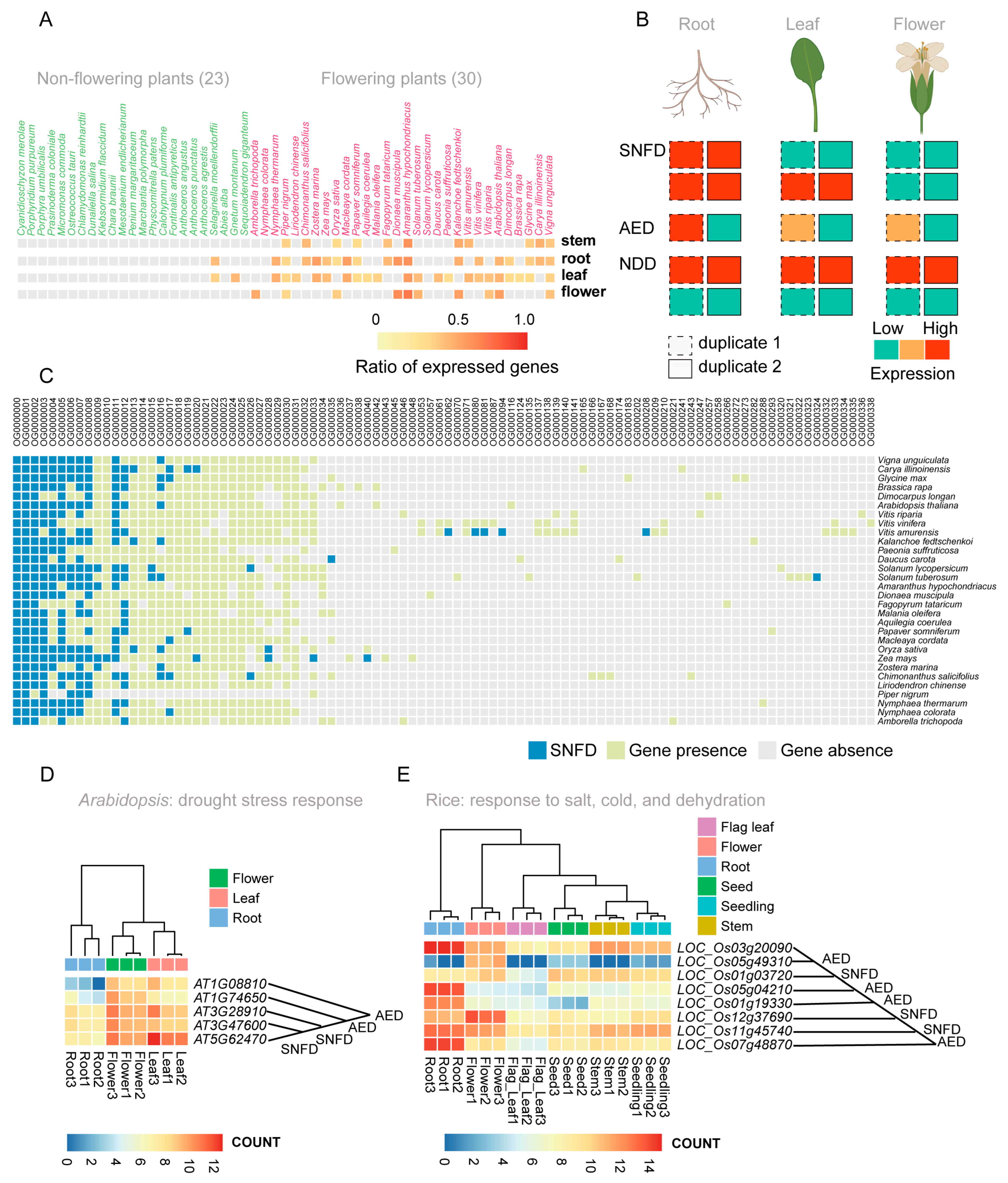 Ijms 24 02566 g005 Ijms 24 02566 g005