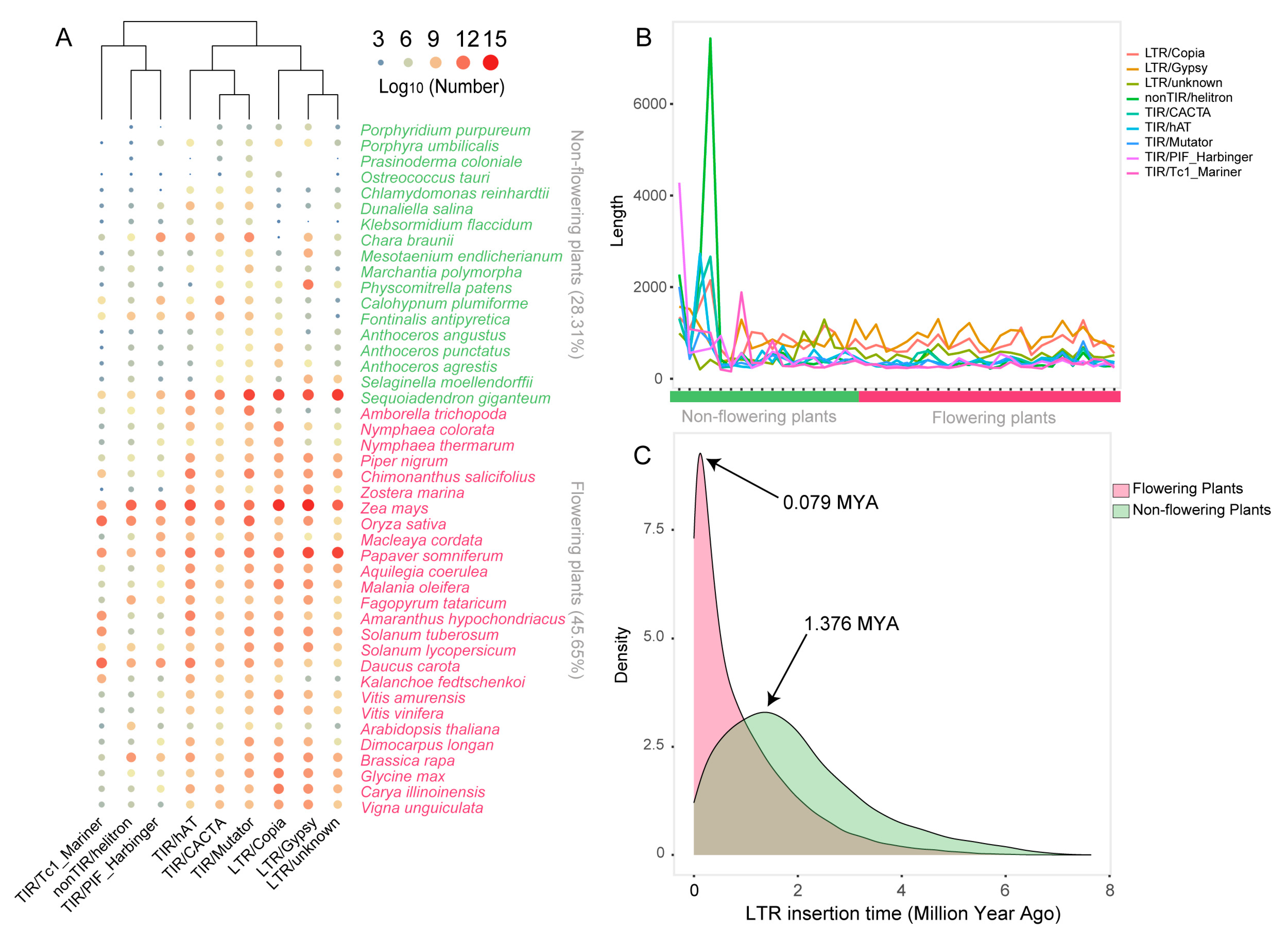 Ijms 24 02566 g006 Ijms 24 02566 g006