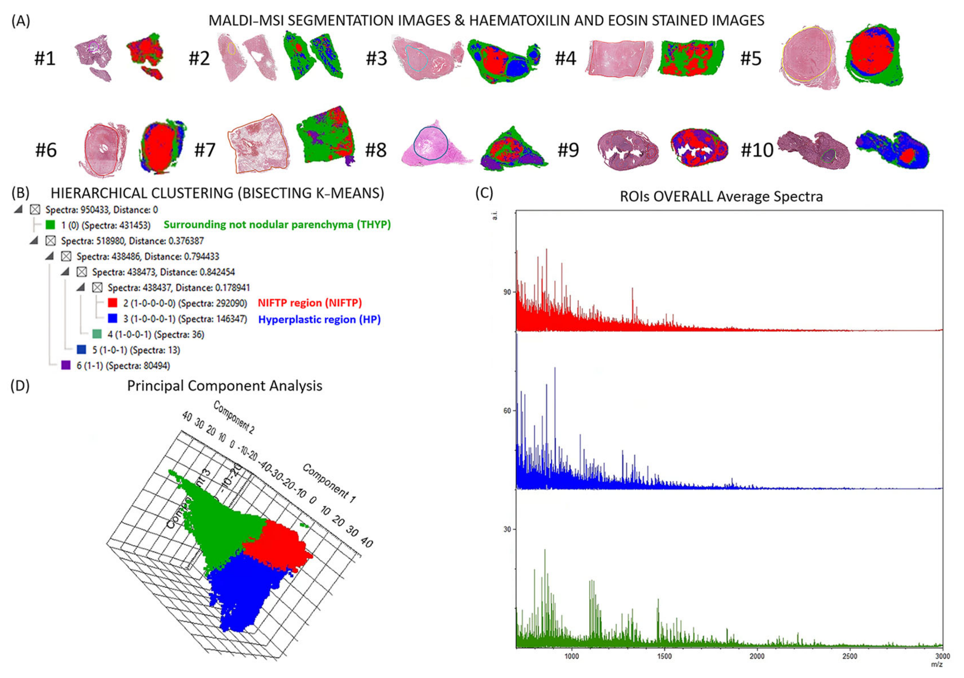 Ijms 24 02567 g001 Ijms 24 02567 g001