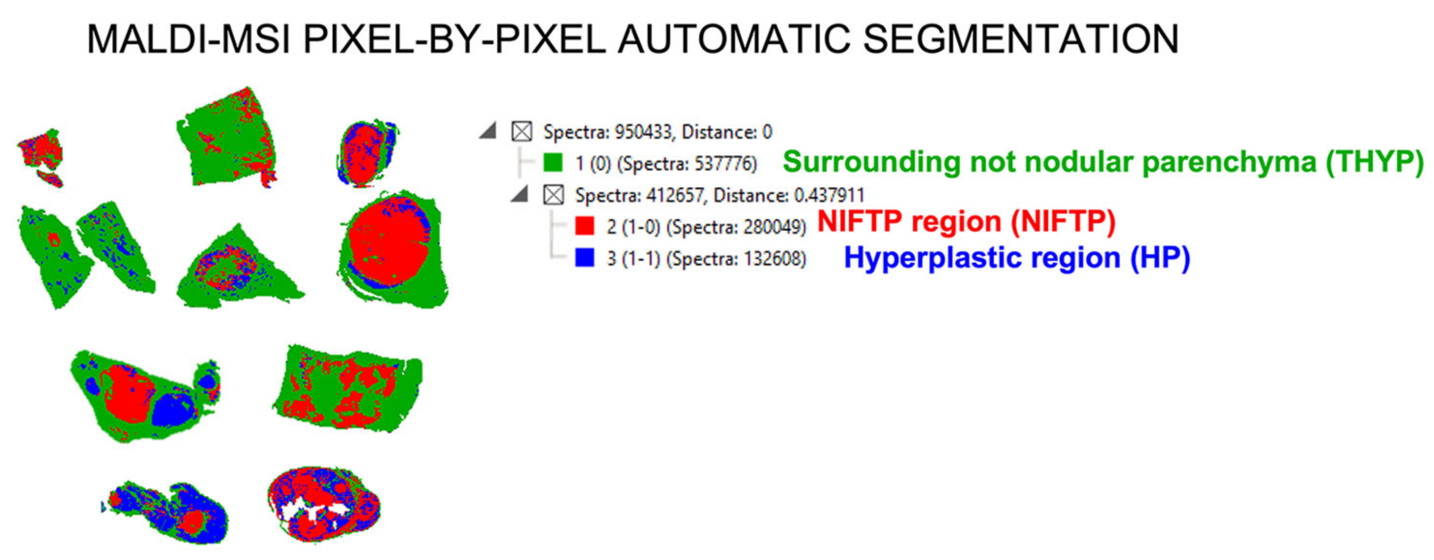 Ijms 24 02567 g003 Ijms 24 02567 g003