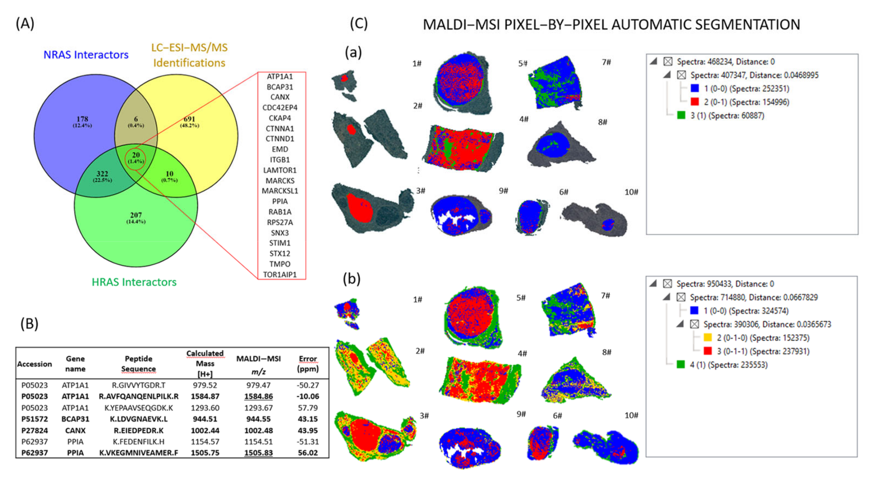 Ijms 24 02567 g004 Ijms 24 02567 g004