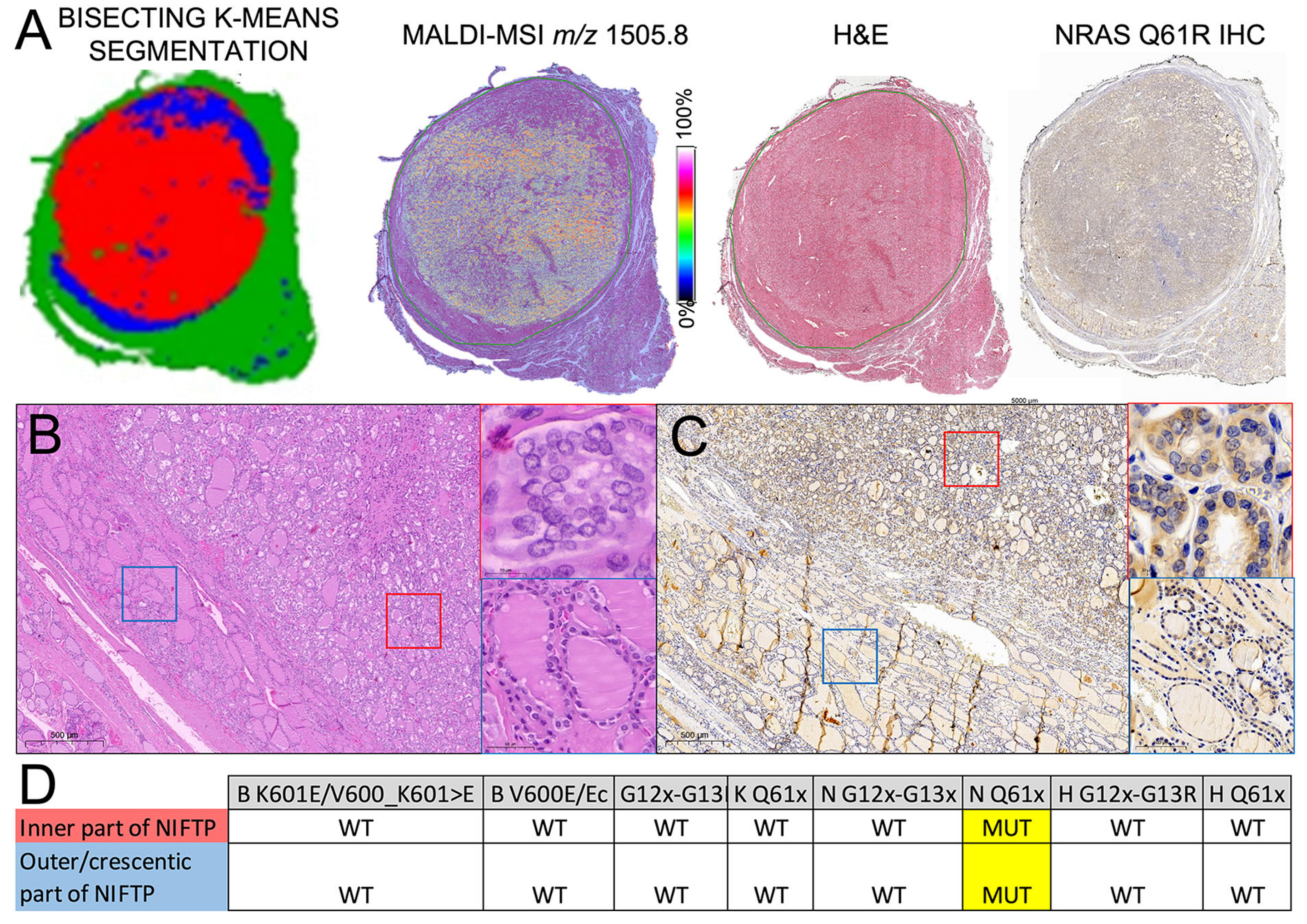 Ijms 24 02567 g005 Ijms 24 02567 g005