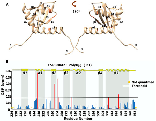 R2mr Course IJMS | Free Full-Text | NMR Analysis Suggests Synergy between the RRM2 ...