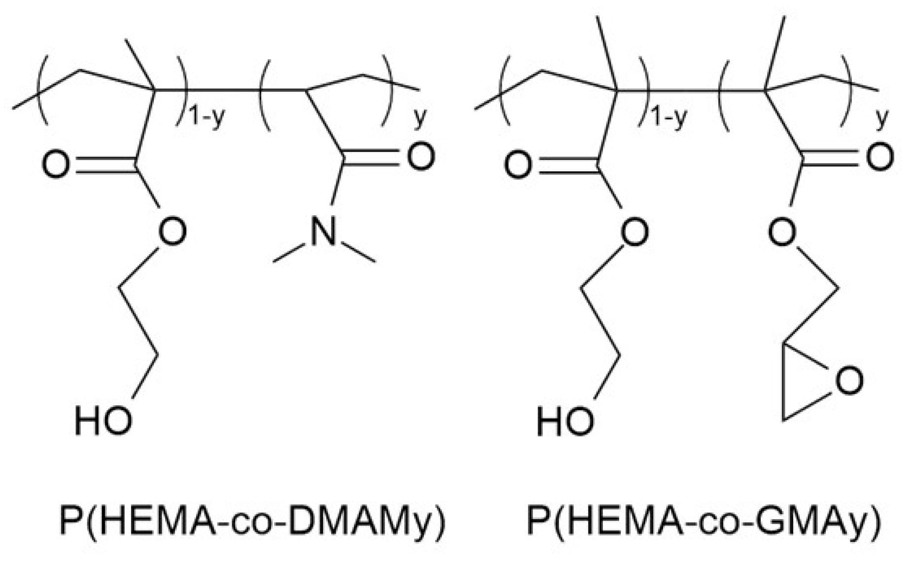 Ijms 24 02575 g001 Ijms 24 02575 g001