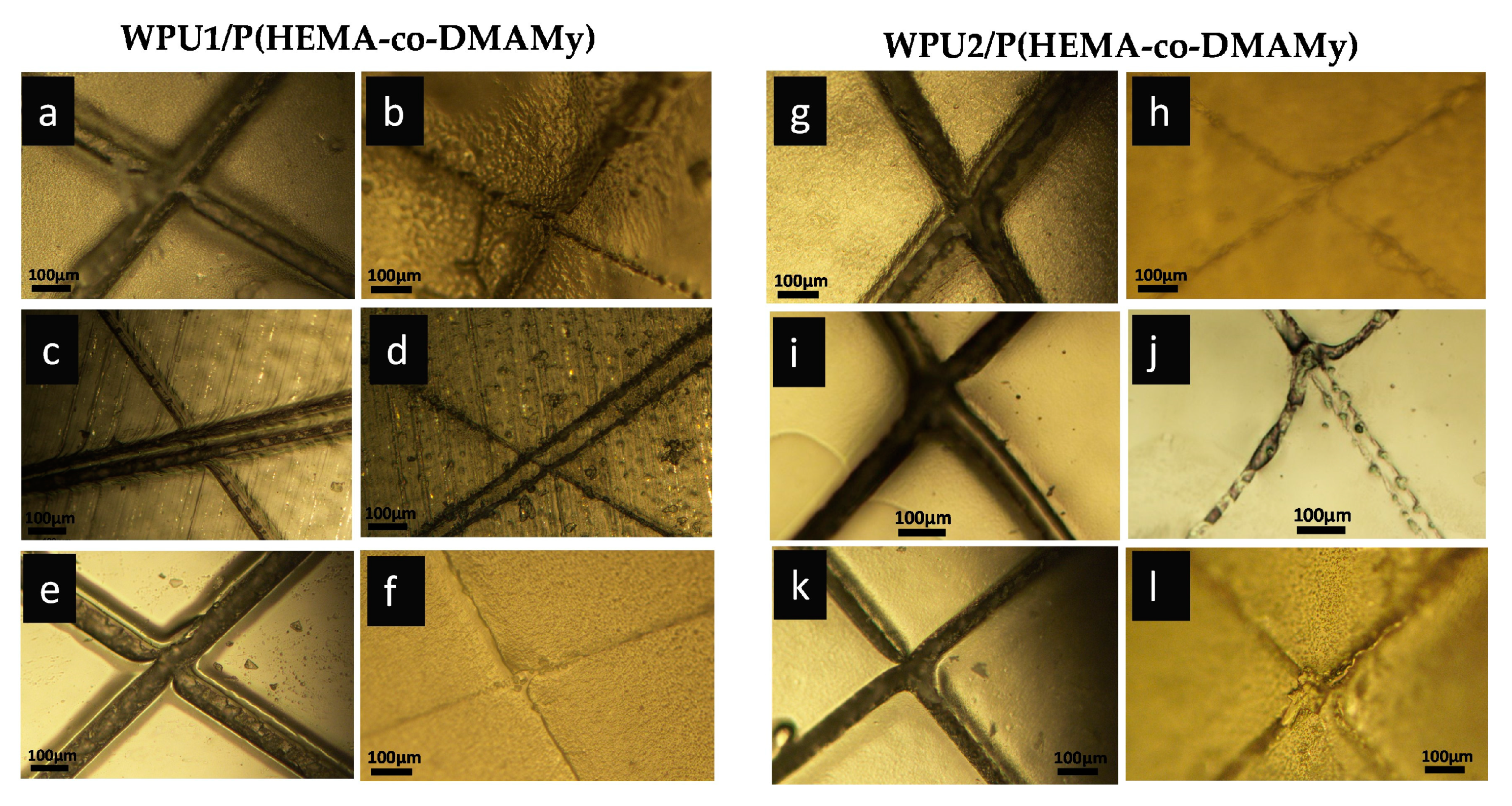 Ijms 24 02575 g008 Ijms 24 02575 g008