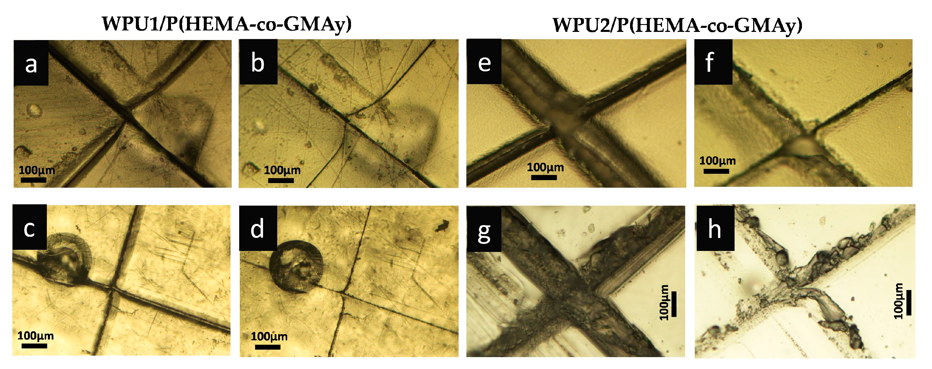 Ijms 24 02575 g009 Ijms 24 02575 g009